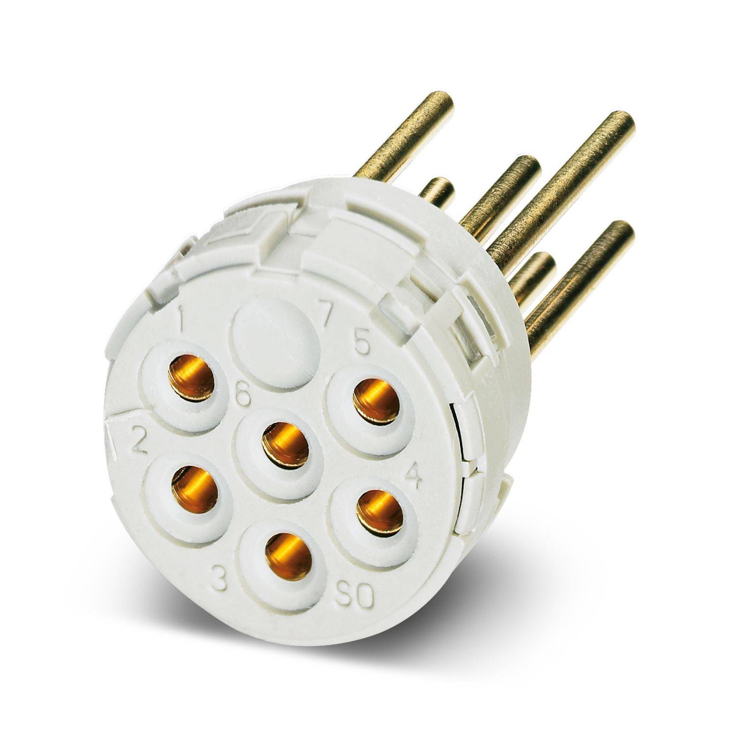 Weißer Stecker für Elektroverbindungen mit sechs goldenen Stiften auf weißem Hintergrund.