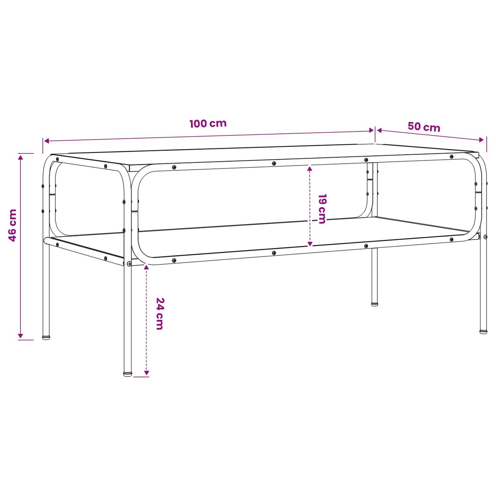Technische Zeichnung eines rechteckigen Metalltisches oder Regals mit Größenangaben: 100 cm Hauptlänge, 50 cm Endsection, 46 cm Höhe, 24 cm Bodenfreiheit und 19 cm Regalhöhe.