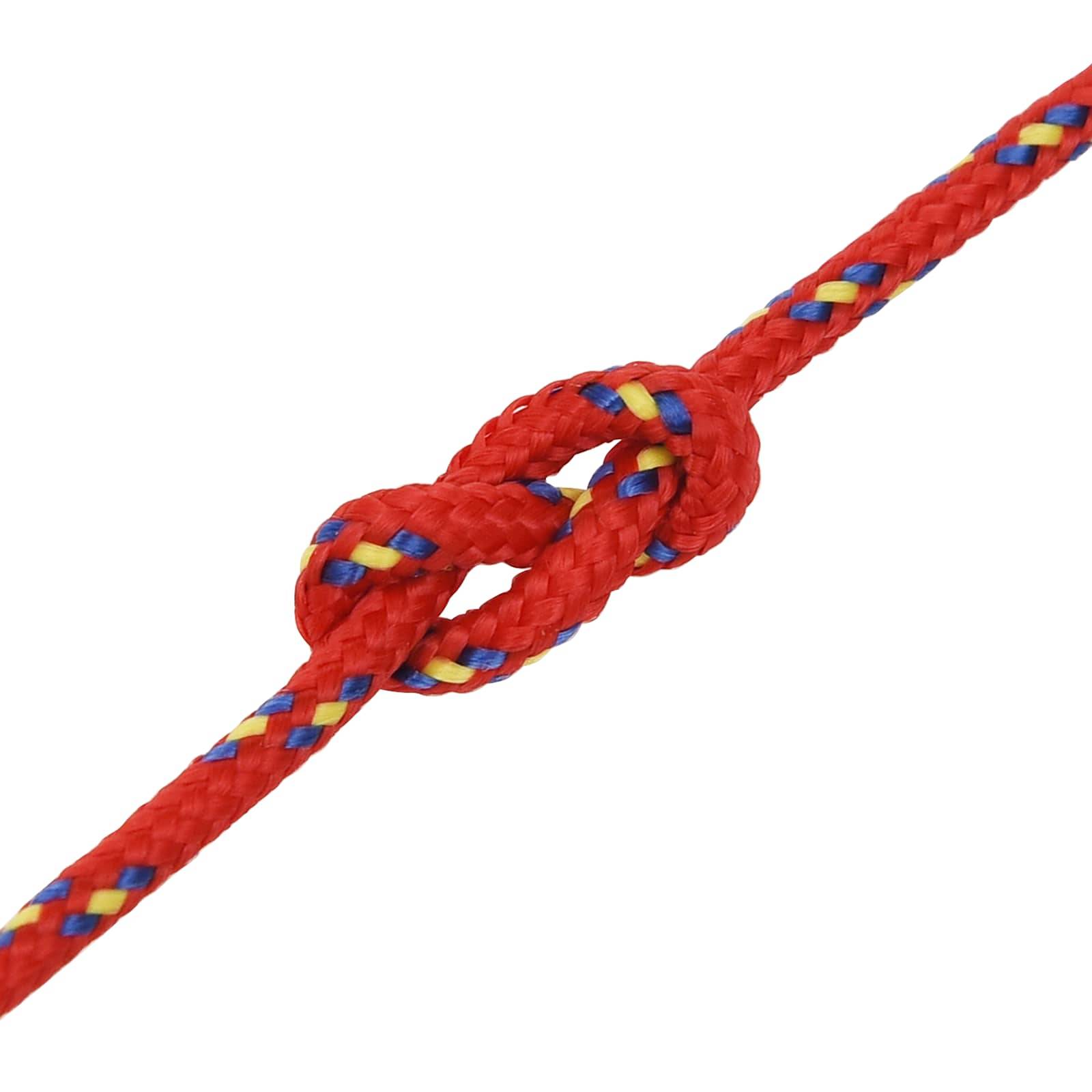 Nahaufnahme eines roten geflochtenen Seils, das in einem einfachen Knoten gebunden ist, mit blauen und gelben Fasern auf weißem Hintergrund.