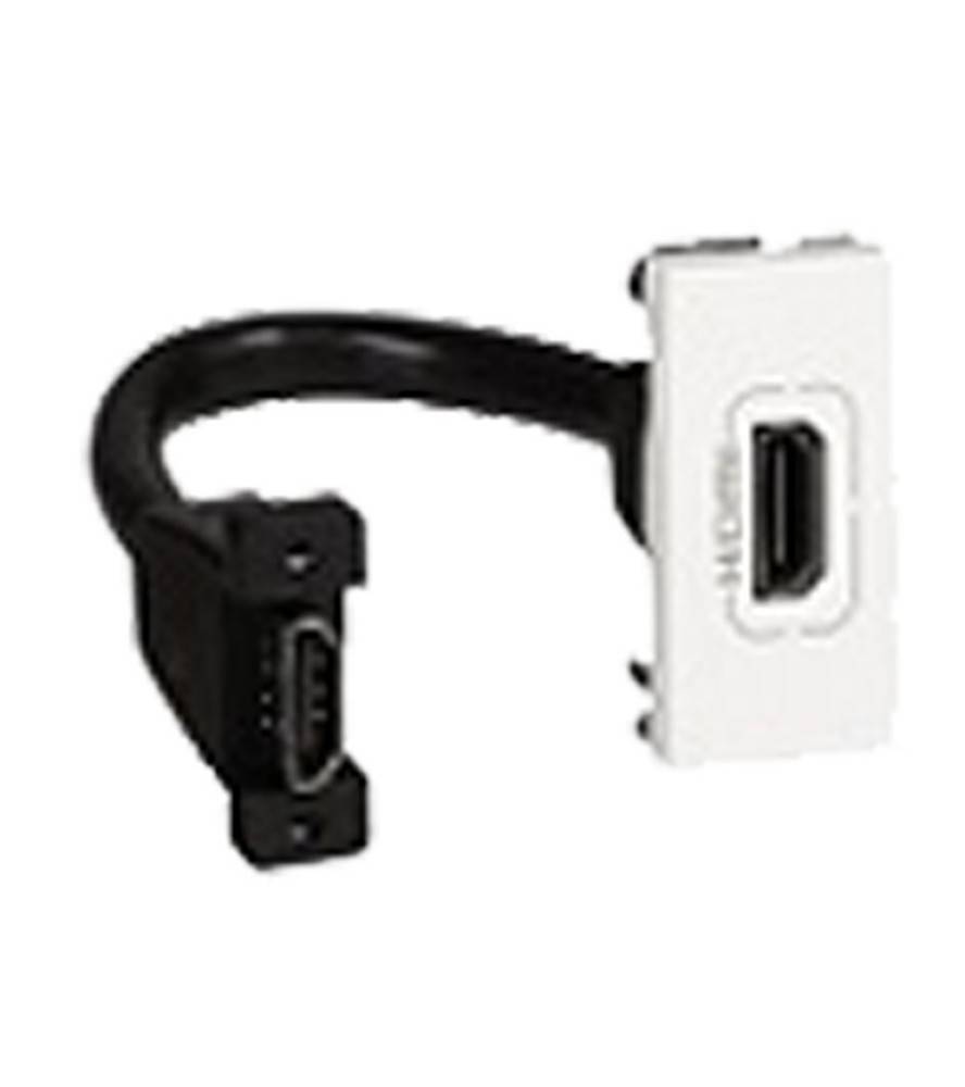 Kurzes Kabeladapter mit USB-C und HDMI-ähnlichen Anschlüssen, schwarzes Kabel mit weißem Endmodul.
