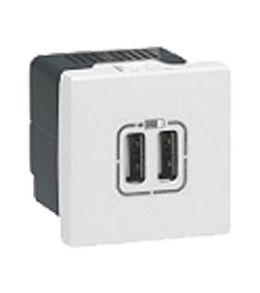 Wandmontiertes weißes Dual-USB-Ladesteckdosenmodul mit schwarzer Rückseite.