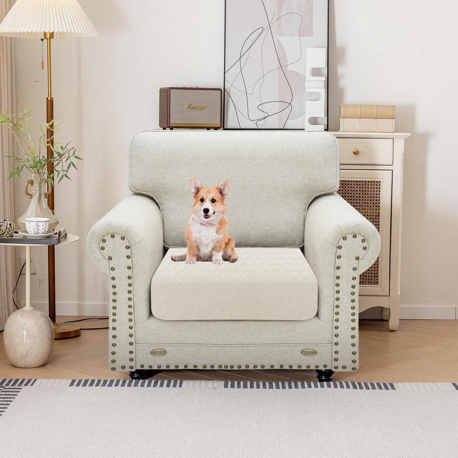 Ein kleiner Corgi sitzt auf einem hellgrünen Sessel in einem hellen, modernen Wohnzimmer.