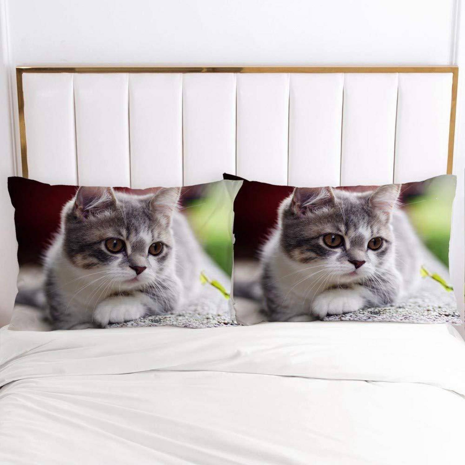 Weißes Bett mit zwei Katzenkopf-Dekokissen, auf denen ein grau-weißes Kätzchen auf den Kopfkissenkissen abgebildet ist.