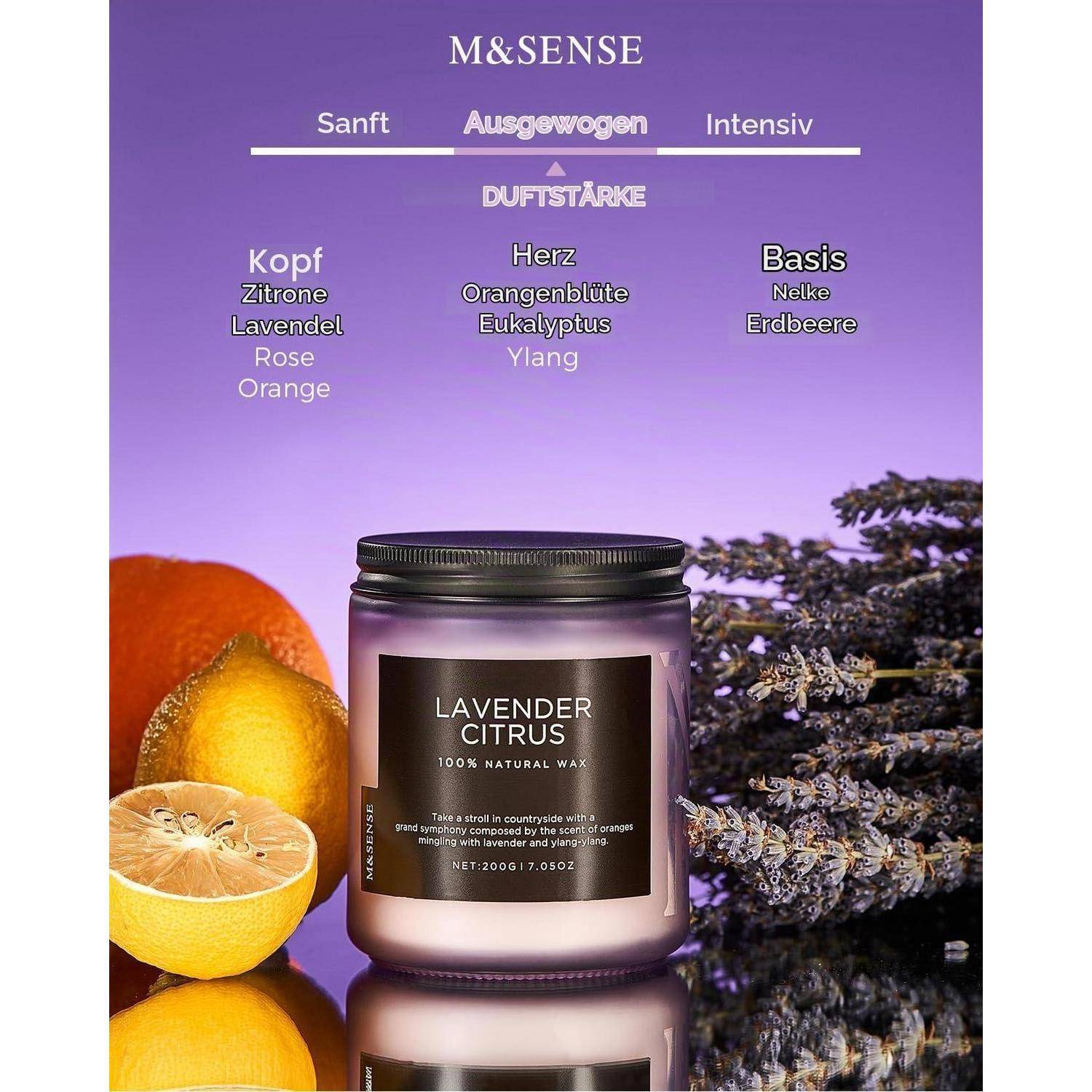 M&amp;SENSE Duftkerze Glas Lavendel Citrus 200g Sojawachs 50h Brenndauer