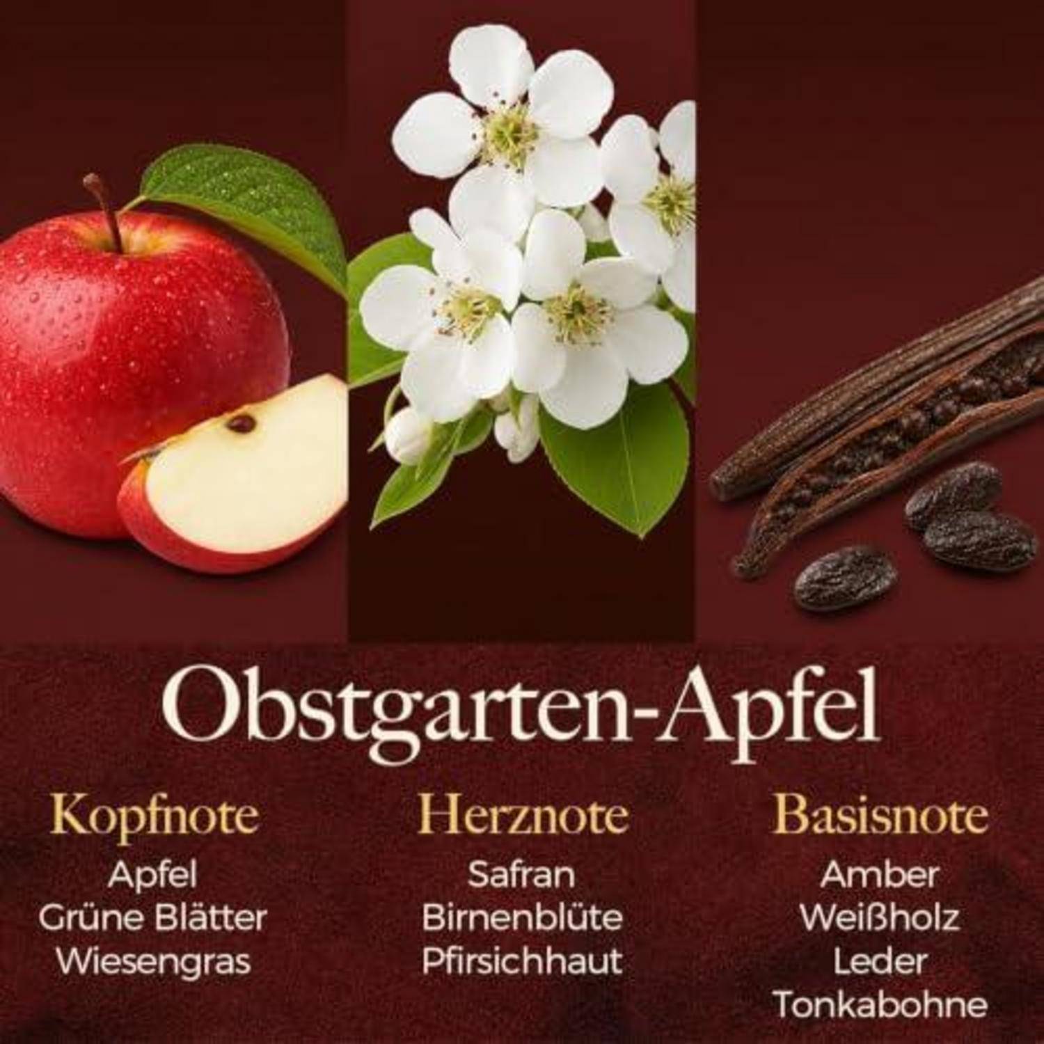 Duftnoten-Pyramide für „Obstgarten-Apfel": Kopfnote Apfel, grüne Blätter, Wiesengras; Herznote Safran, Birnenblüte, Pfirsichhaut; Basisnote Amber, Weißholz, Leder, Tonka-Bohne.