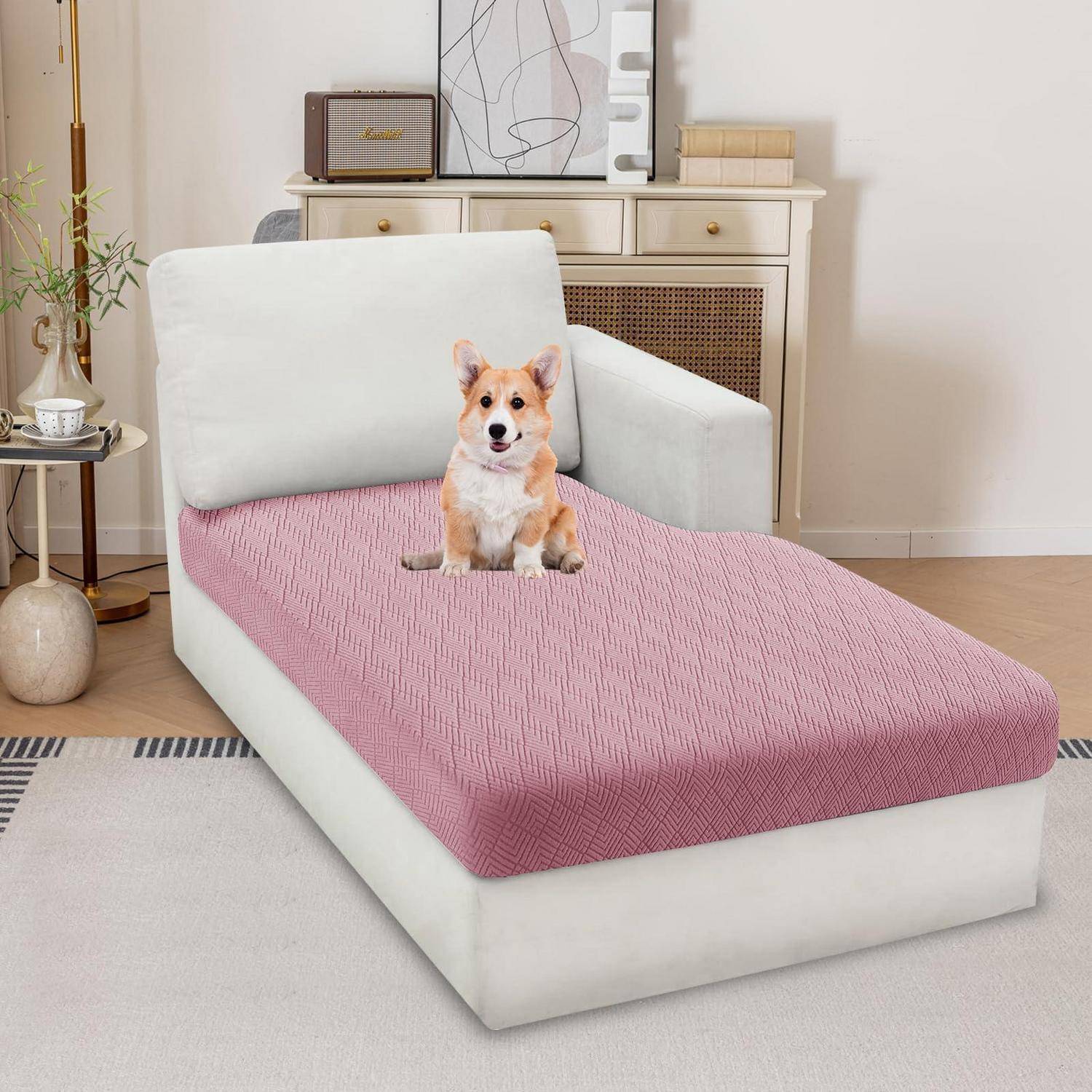 Ein kleiner Corgi sitzt auf einer rosa strukturierten Chaiselongue in einem hellen Wohnzimmer mit einem Sideboard und Dekorationen dahinter.