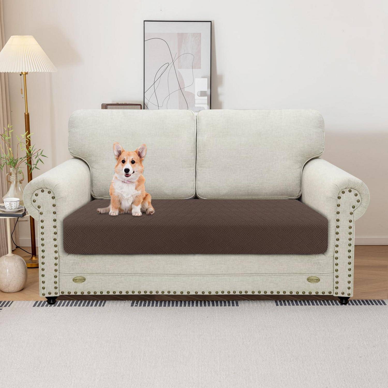 Ein kleiner Corgi sitzt auf einem Sofa mit einer braunen Schutzhülle in einem Wohnzimmer neben einer Stehlampe und gerahmter Wandkunst.
