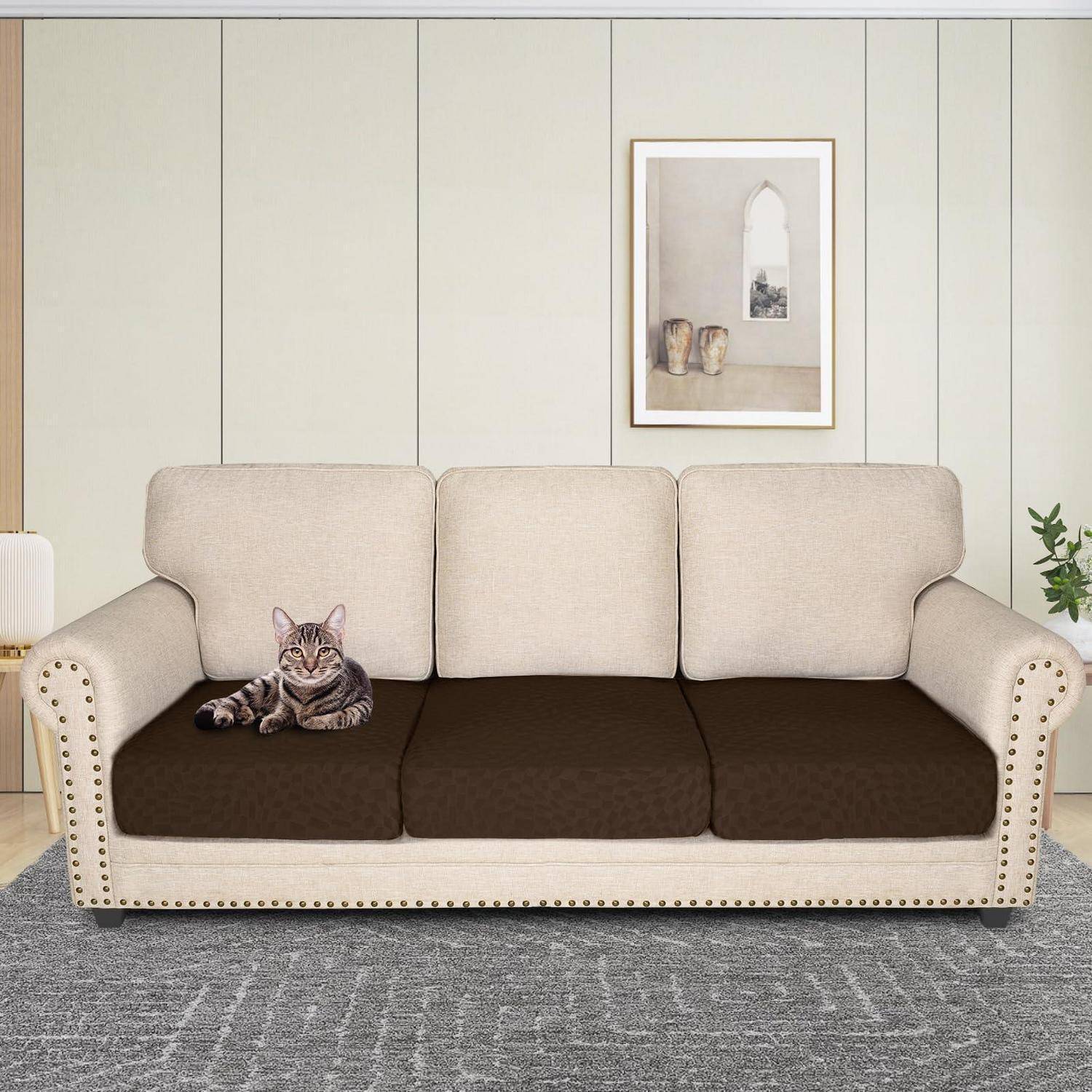 Getigerte Katze, die auf einem beigen Sofa mit dunklen Kissen in einem minimalistischen Wohnzimmer liegt.