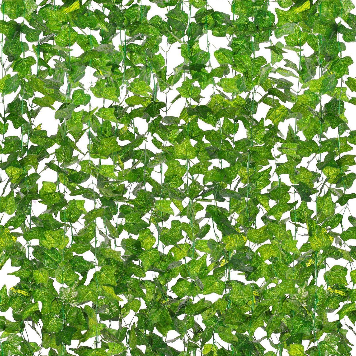 Dichte grüne Efeu-Ranken und Blätter bilden ein sich wiederholendes Muster und schaffen eine blättrige Wand oder Hintergrundtextur.