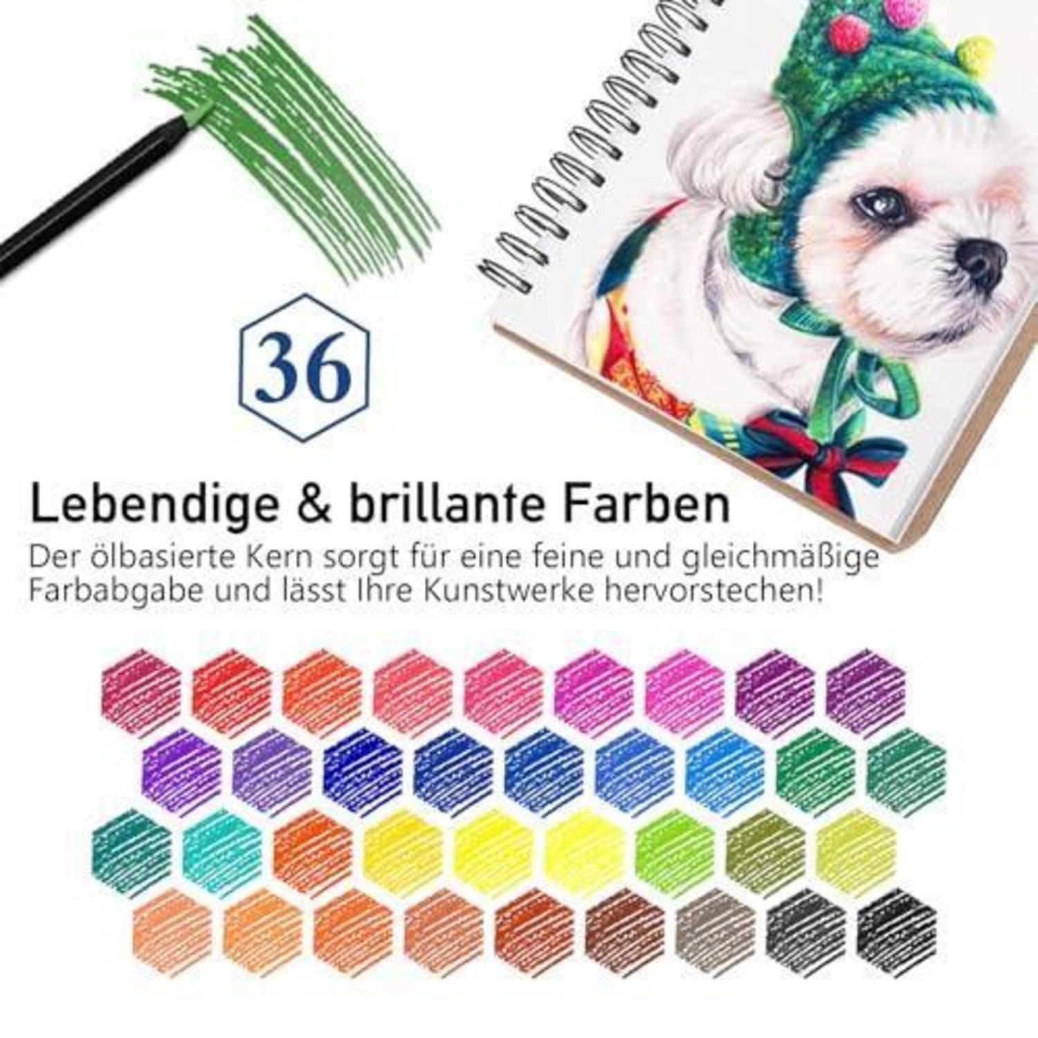 Werbung für 36 Farbstifte mit glatter, lebendiger Farbmischung und einer Beispielzeichnung eines Hundes in einem Skizzenbuch.