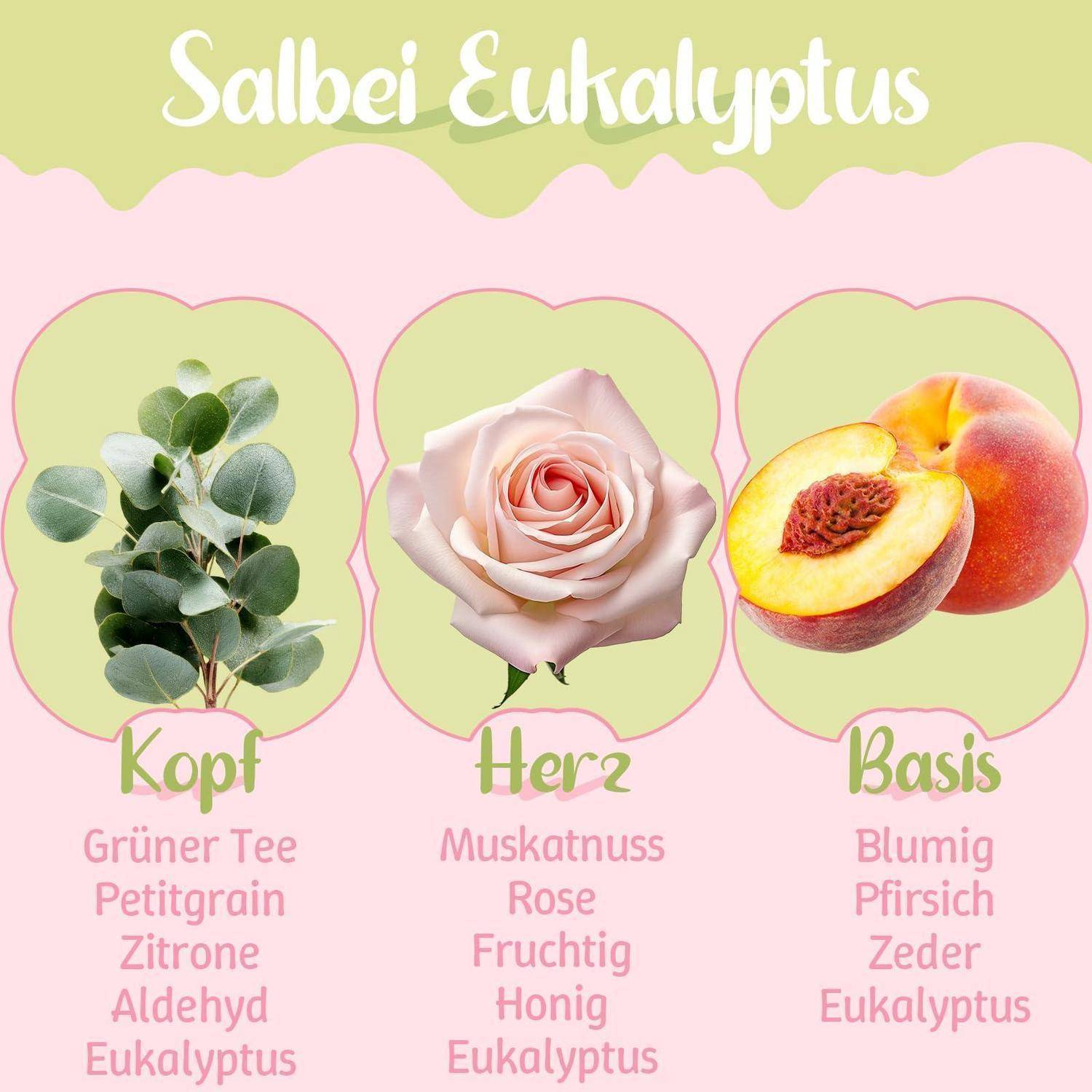 Infografik mit dem Titel „Salbei Eukalyptus" mit drei Duftnoten: „Kopf"" mit grünem Tee, Petitgrain, Zitrone, Aldehyd, Eukalyptus; „Herz"" mit Moschus, Rose, fruchtig, Honig, Eukalyptus; „Basis"" mit Pflaume, Pfirsich, Zeder, Eukalyptus.