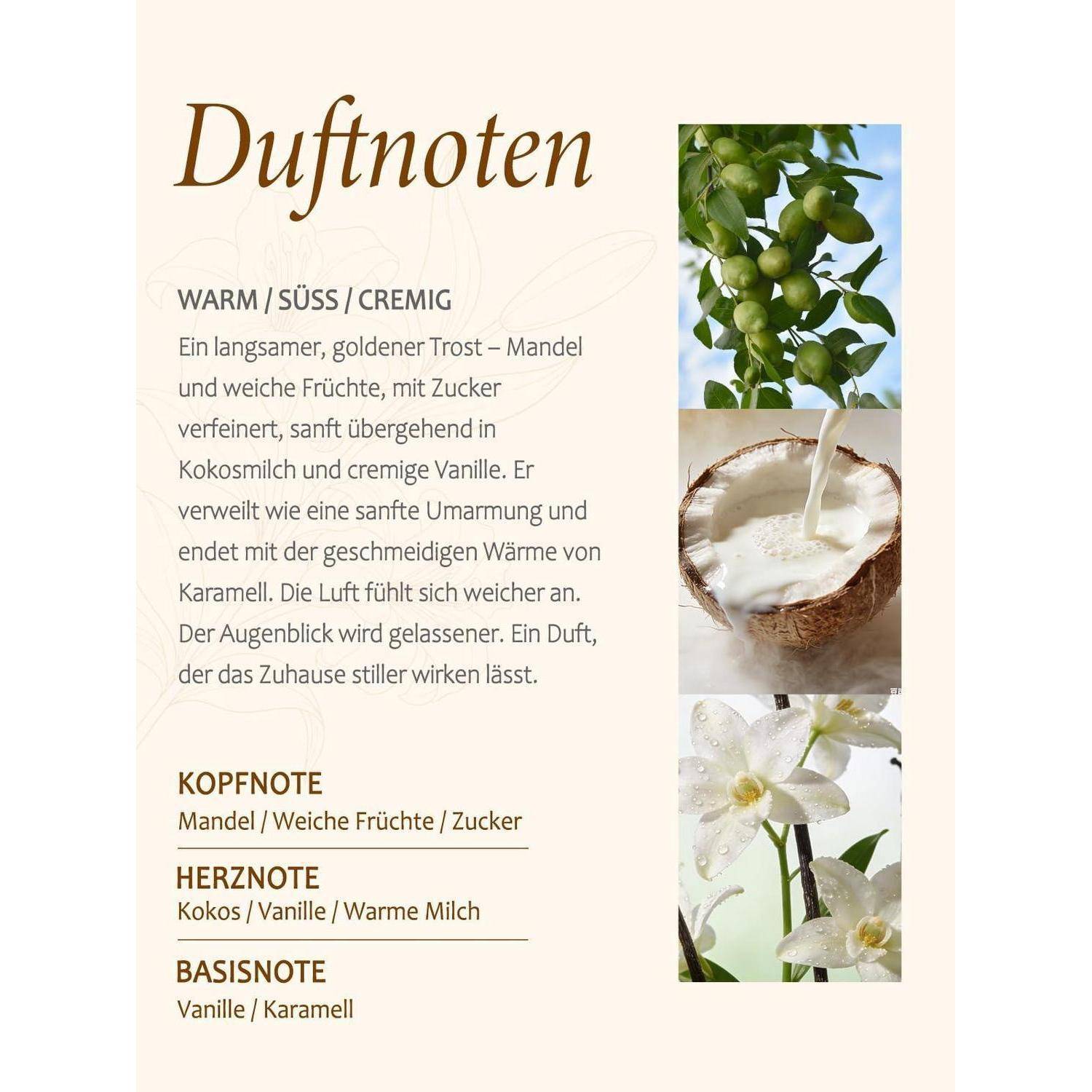 Duftkerze Vanille Sojawachs 210g 50h Brenndauer 2 Dochte weißes Glas