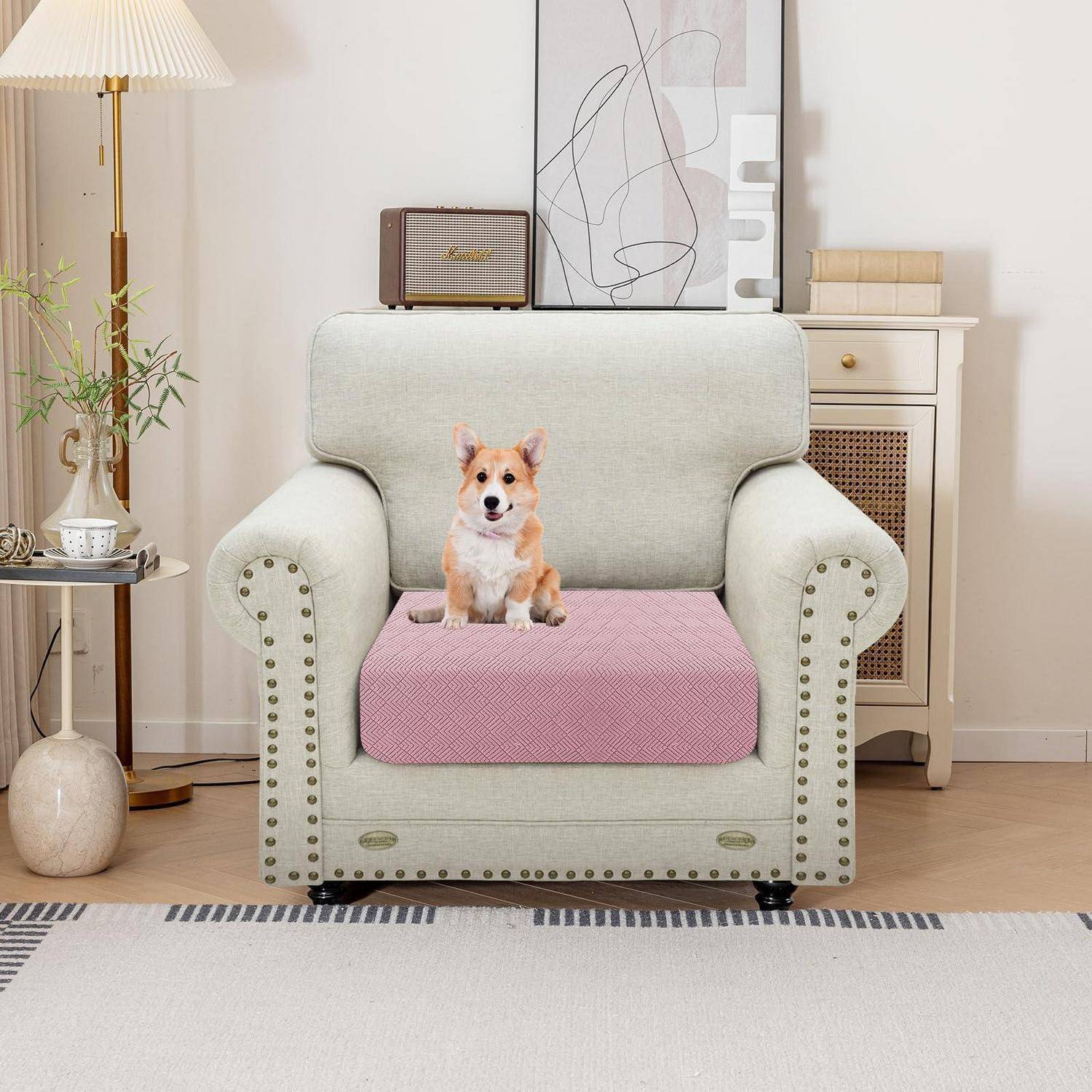 Ein kleiner Corgi sitzt auf einem rosa Kissen auf einem hellgrünen Sessel in einem Wohnzimmer mit einer Lampe, einem Beistelltisch und einem Schrank.
