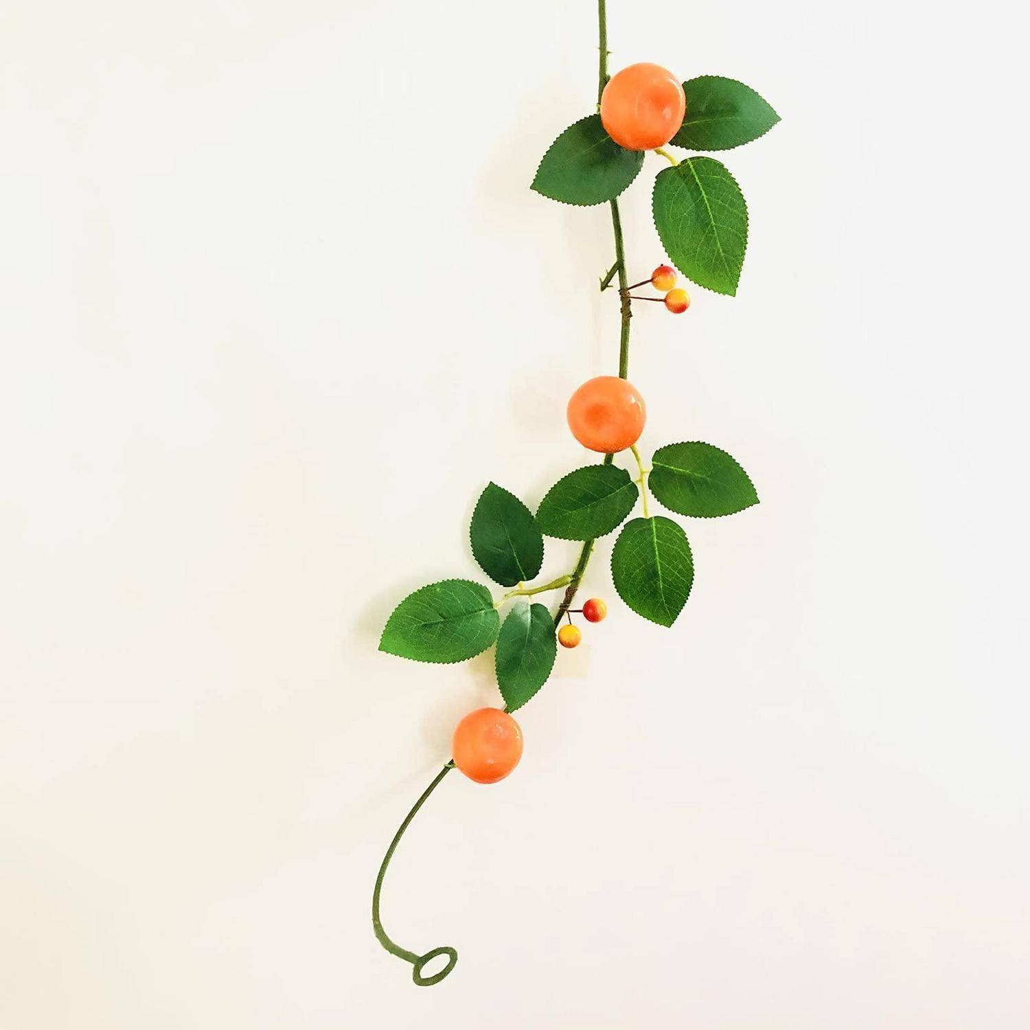 Eine einzelne grüne Rebe mit ovalen Blättern und mehreren orangefarbenen Beeren hängt vor einem schlichten weißen Hintergrund.