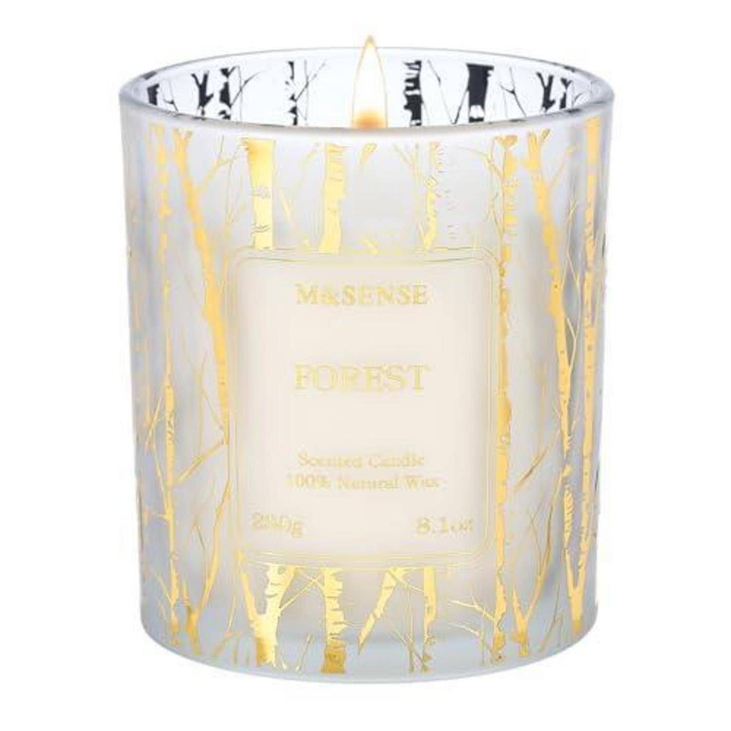 Weiße brennende Kerze in einem mattiertem Glaskrug mit goldenem Baummuster und Etikett mit der Aufschrift „M&SENSE FOREST".