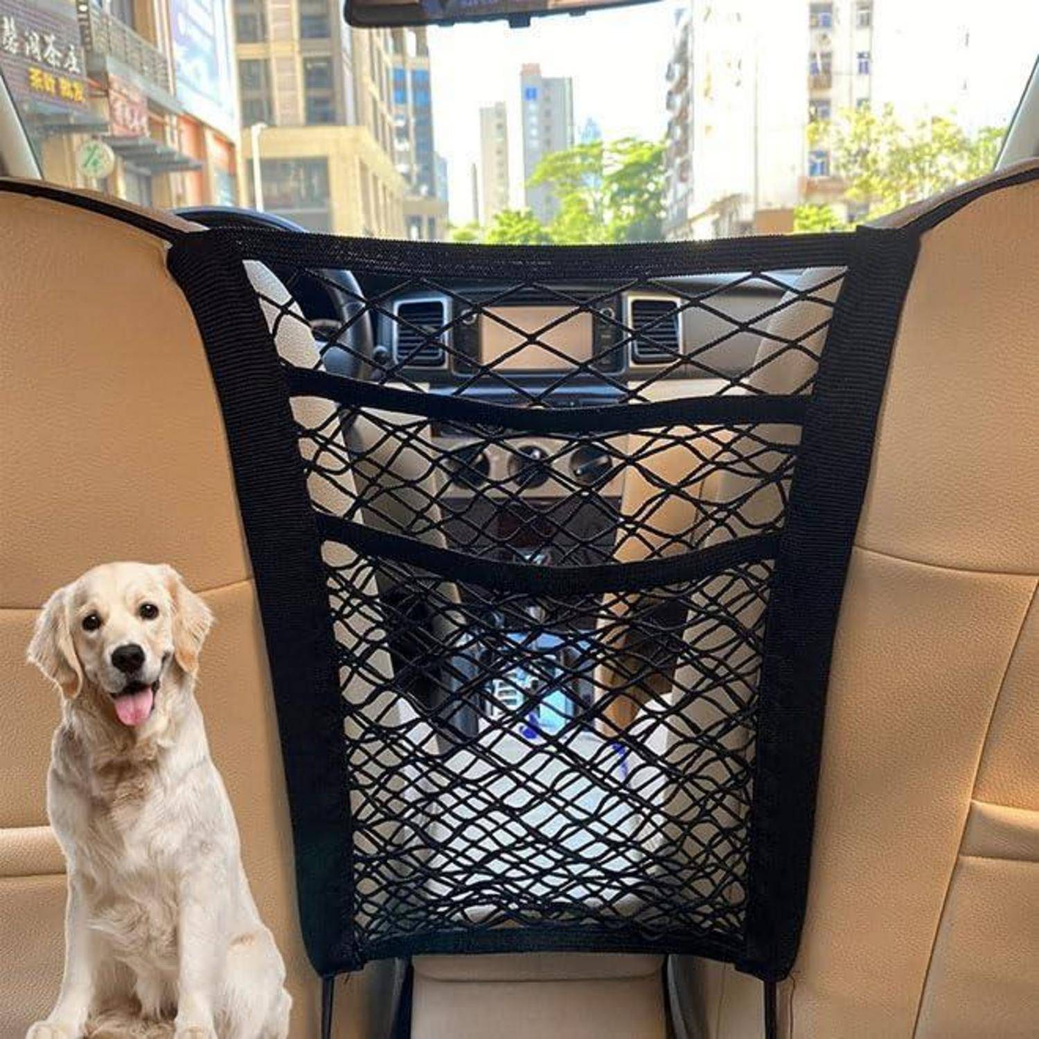 Ein Golden Retriever sitzt auf der Rückbank eines Autos, wobei ein schwarzes Netzgitter oder ein Aufbewahrungsnetz die Vordersitze trennt.
