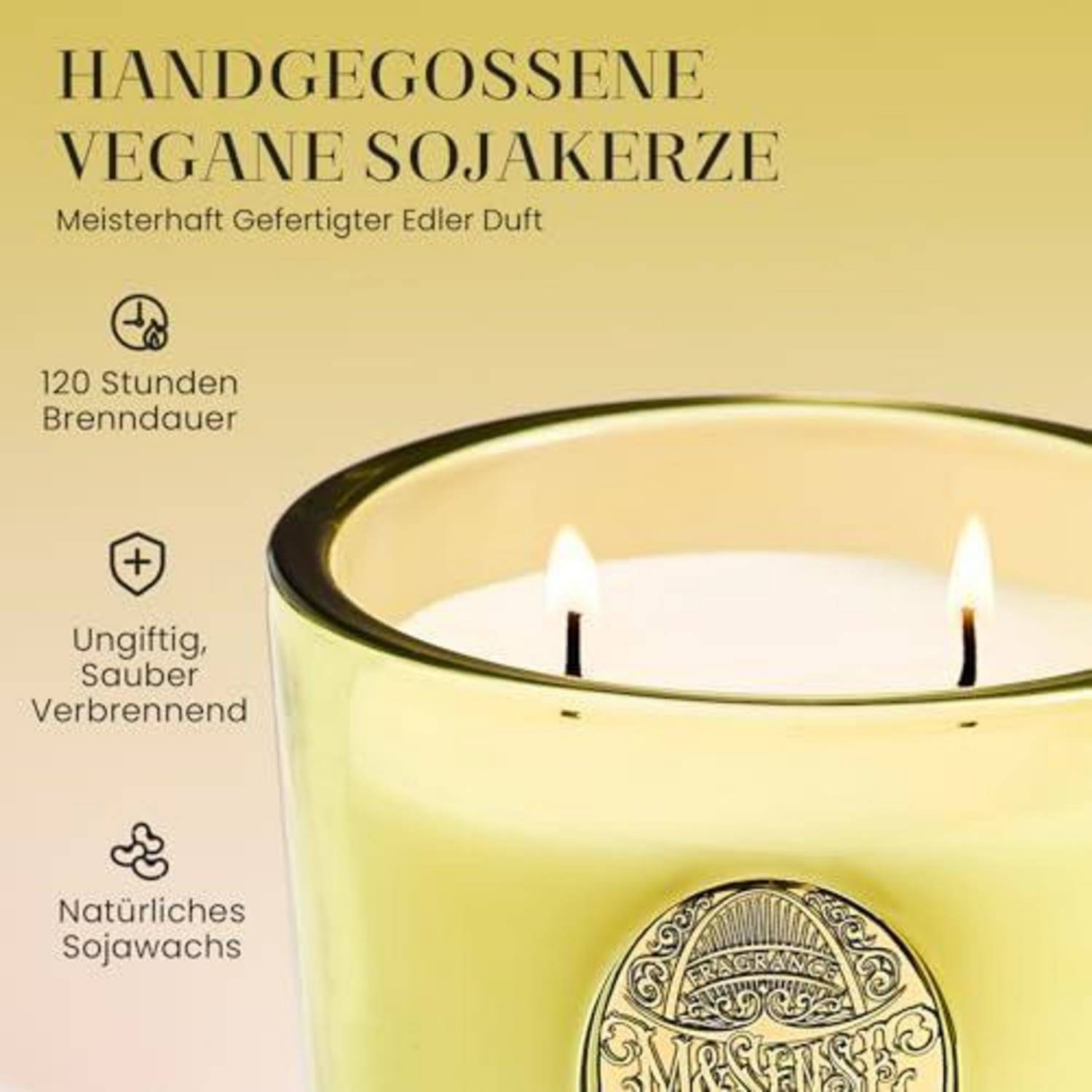 M&amp;SENSE Duftkerze Seattle-Regenwald 560g Sojawachs 2-Docht 110h Brenndauer