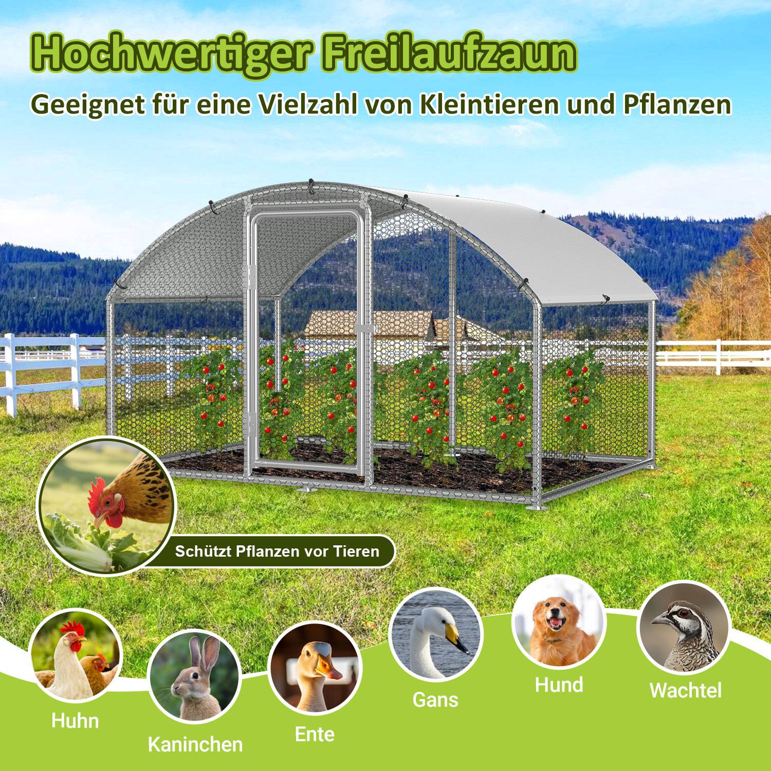 Anzeige für ein hochwertiges Freigehege mit Netzgeflecht und gewölbtem Dach, das Pflanzen vor Tieren schützt; gezeigt für Hühner, Kaninchen, Enten, Gänse, Hunde und Wachteln.