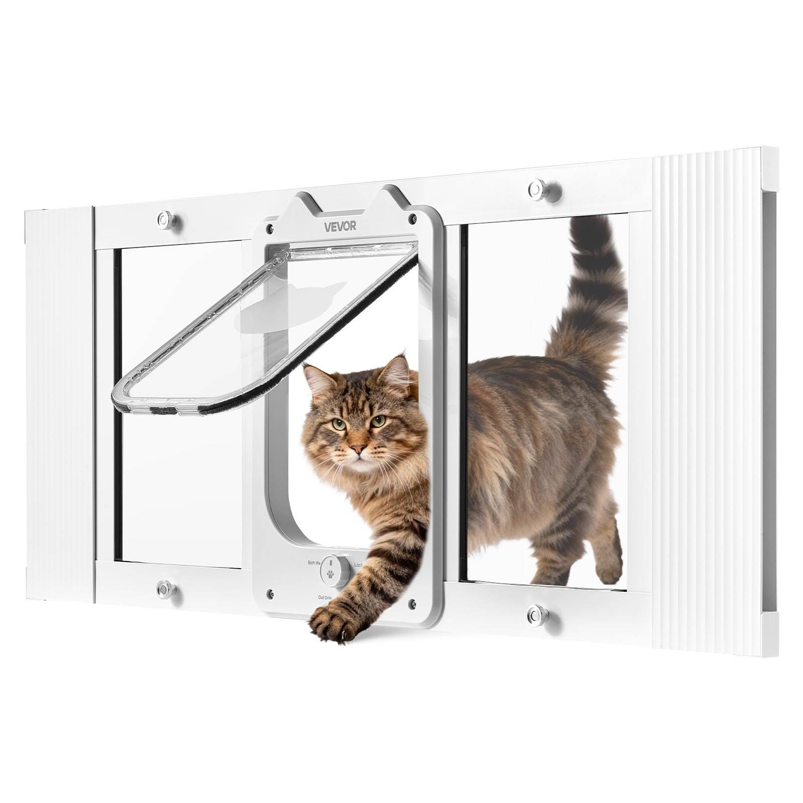 Katze, die durch eine transparente Haustiertür in einer weißen Wand geht, mit einer aufgeschwungenen Klappe, die sich öffnet, während sie hindurchtritt.