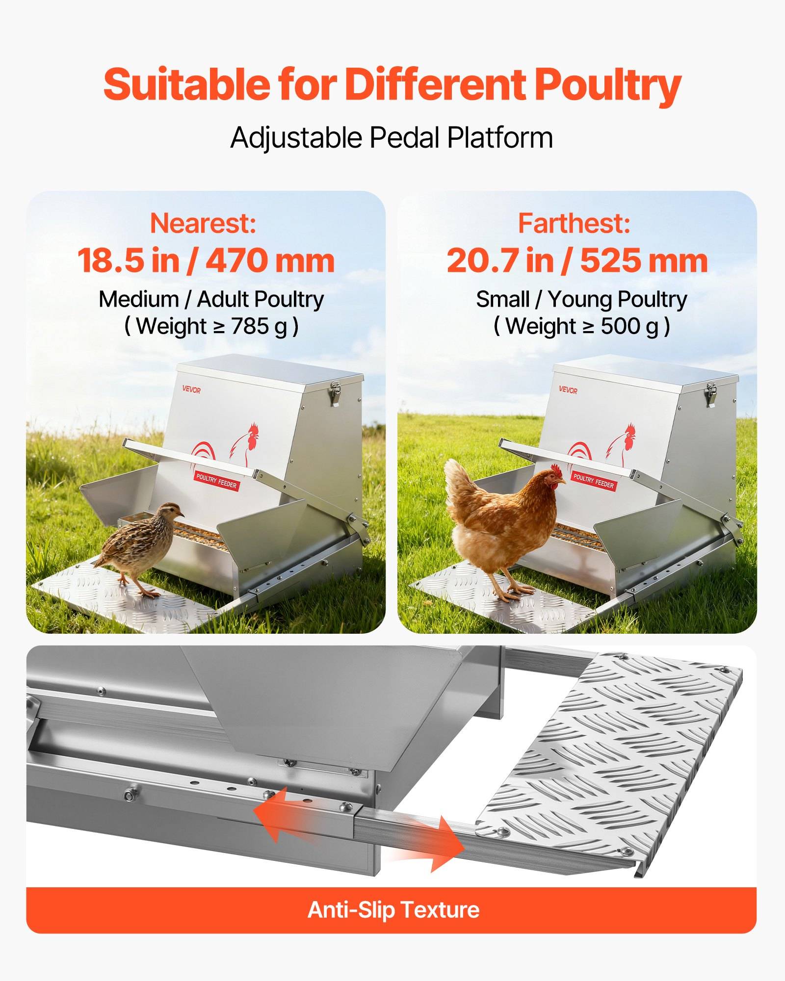 Werbebild eines verstellbaren Geflügelfütterungsautomaten mit Sockelpositionen für mittelgroße/große und kleine/junge Vögel, gekennzeichnet mit 18,5 Zoll/470 mm und 20,7 Zoll/525 mm, sowie einer rutschfesten strukturierten Plattform.