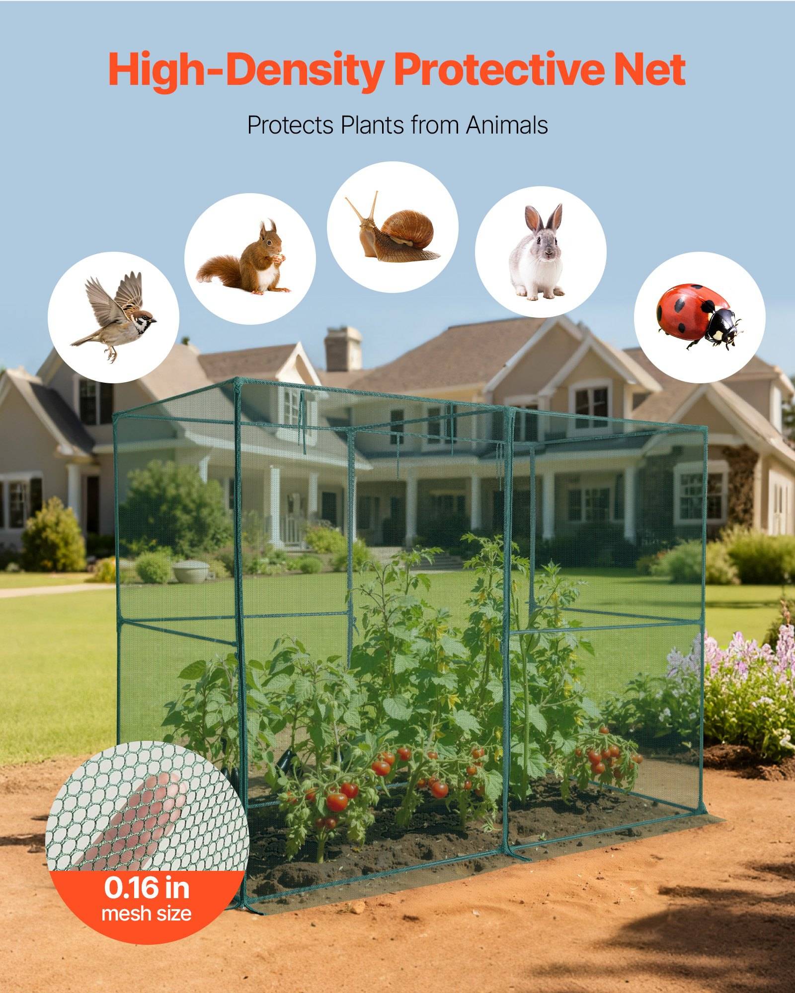 Hochdichtes Schutznetz umschließt Gartenpflanzen, um sie vor Vögeln, Eichhörnchen, Schnecken, Kaninchen und Marienkäfern zu schützen; Maschenweite 0,16 Zoll.