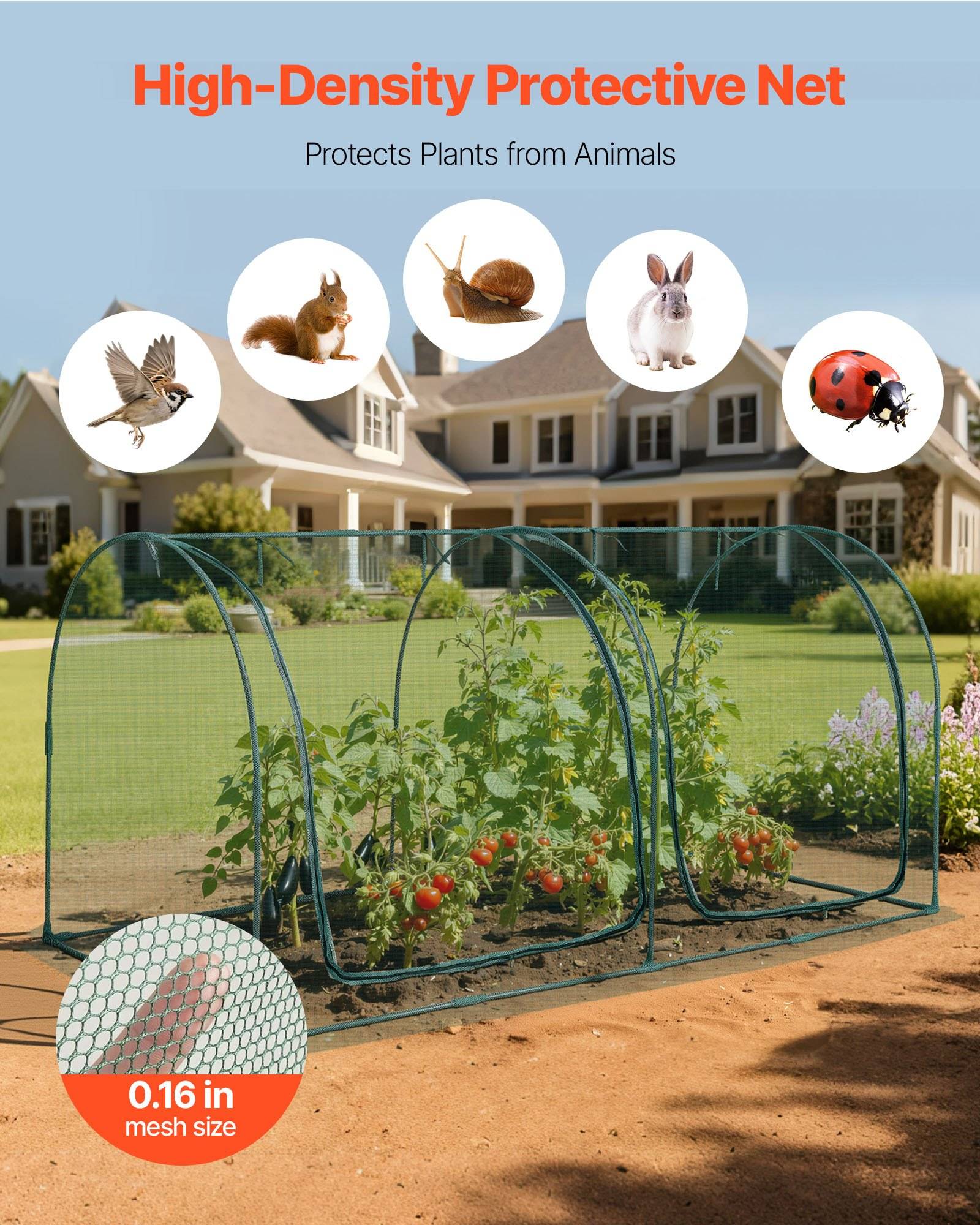 Werbebild eines hochdichten Schutznetzes über einem Gartenbeet, das Vögel, Eichhörnchen, Schnecken, Kaninchen und Insekten abhält; der Text besagt „Hochdichtes Schutznetz" und „Schützt Pflanzen vor Tieren"" mit einer Maschenweite von 0,16 Zoll.
