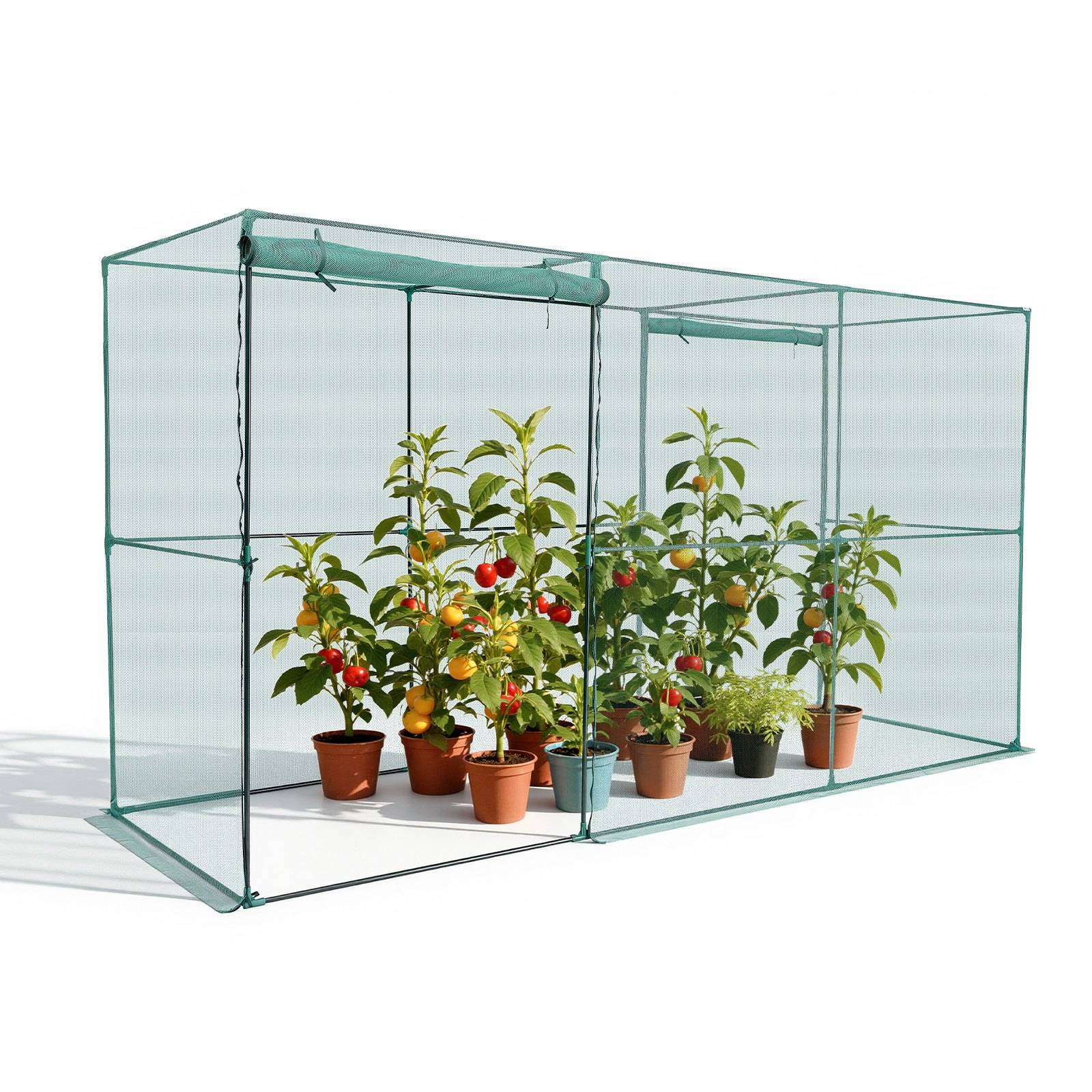 Kleines Gewächshausgehäuse mit mehreren Blumenkübeln mit fruchtenden Pflanzen, die rote und gelbe Paprika oder Tomaten enthalten.