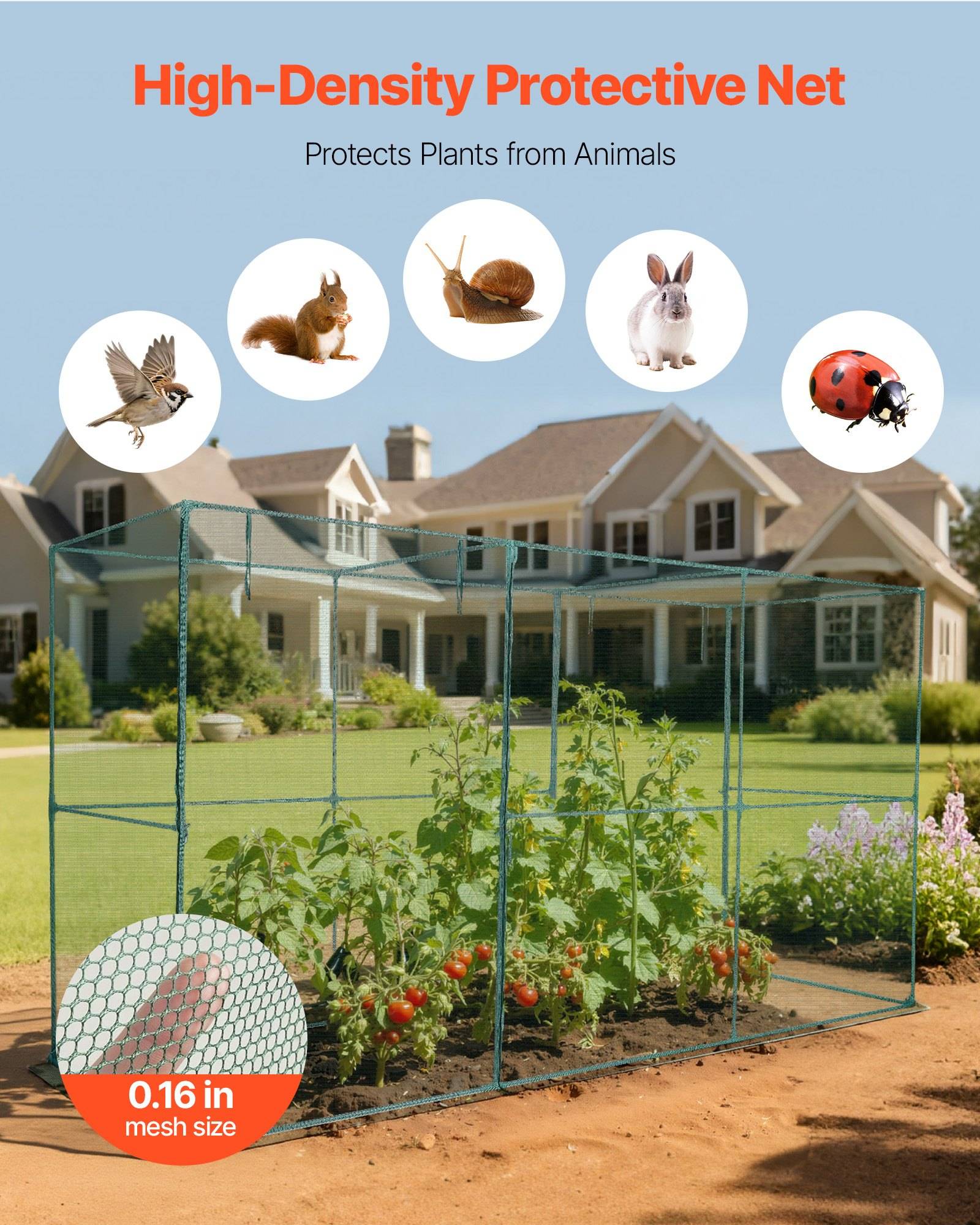 Werbegrafik eines hochdichten Schutznetzes über einem Gemüsegarten im Hinterhof, beschriftet mit "Schützt Pflanzen vor Tieren"", mit Symbolen eines Vogels, eines Eichhörnchens, einer Schnecke, eines Kaninchens und eines Marienkäfers und einer Maschenweite von ""0,16 Zoll"".