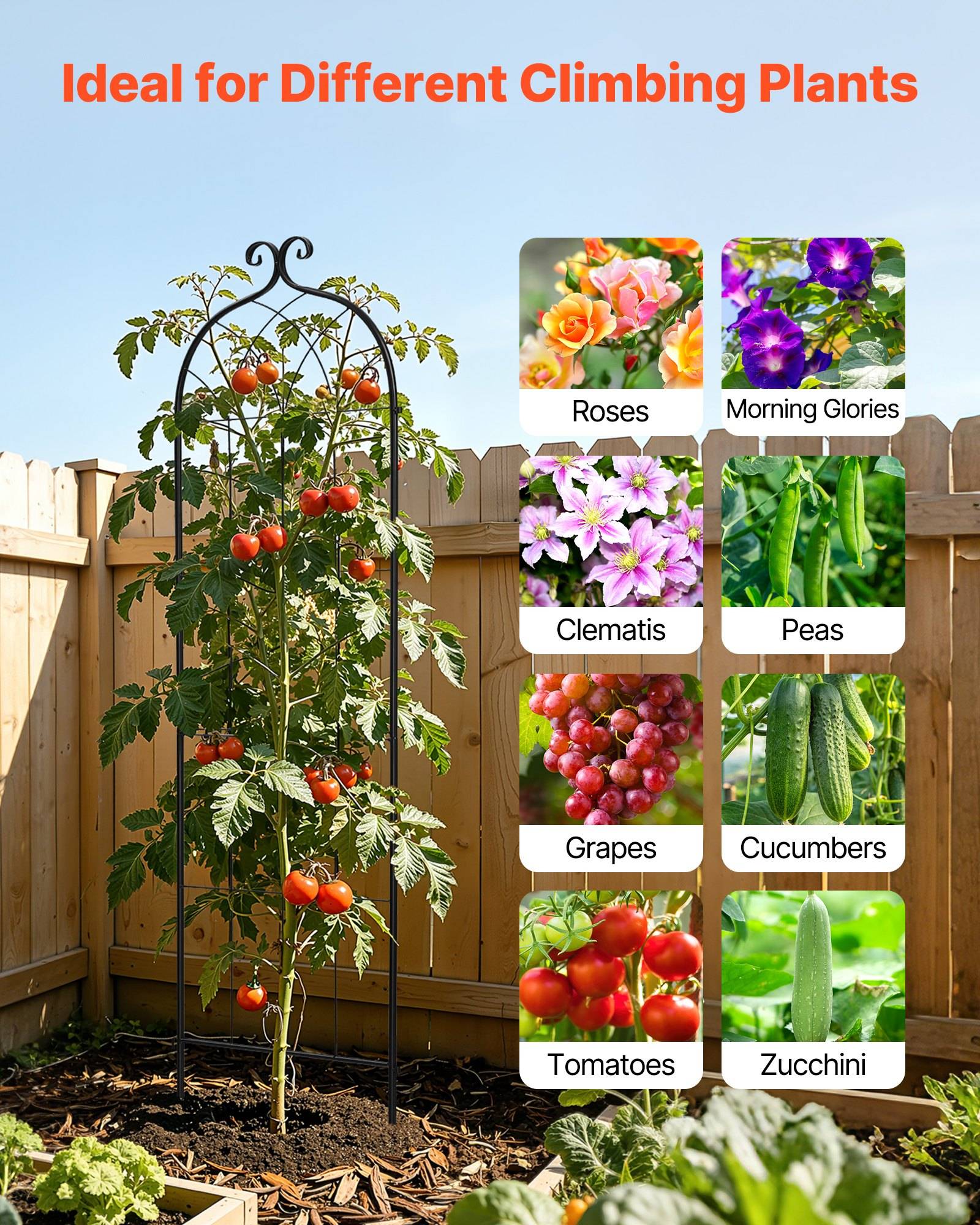 Gartengitter mit kletternder Tomatenpflanze und Titel „Ideal für verschiedene Kletterpflanzen"; Seitenpaneele zeigen Rosen, Prunkwinden, Clematis, Erbsen, Trauben, Gurken, Tomaten und Zucchini.