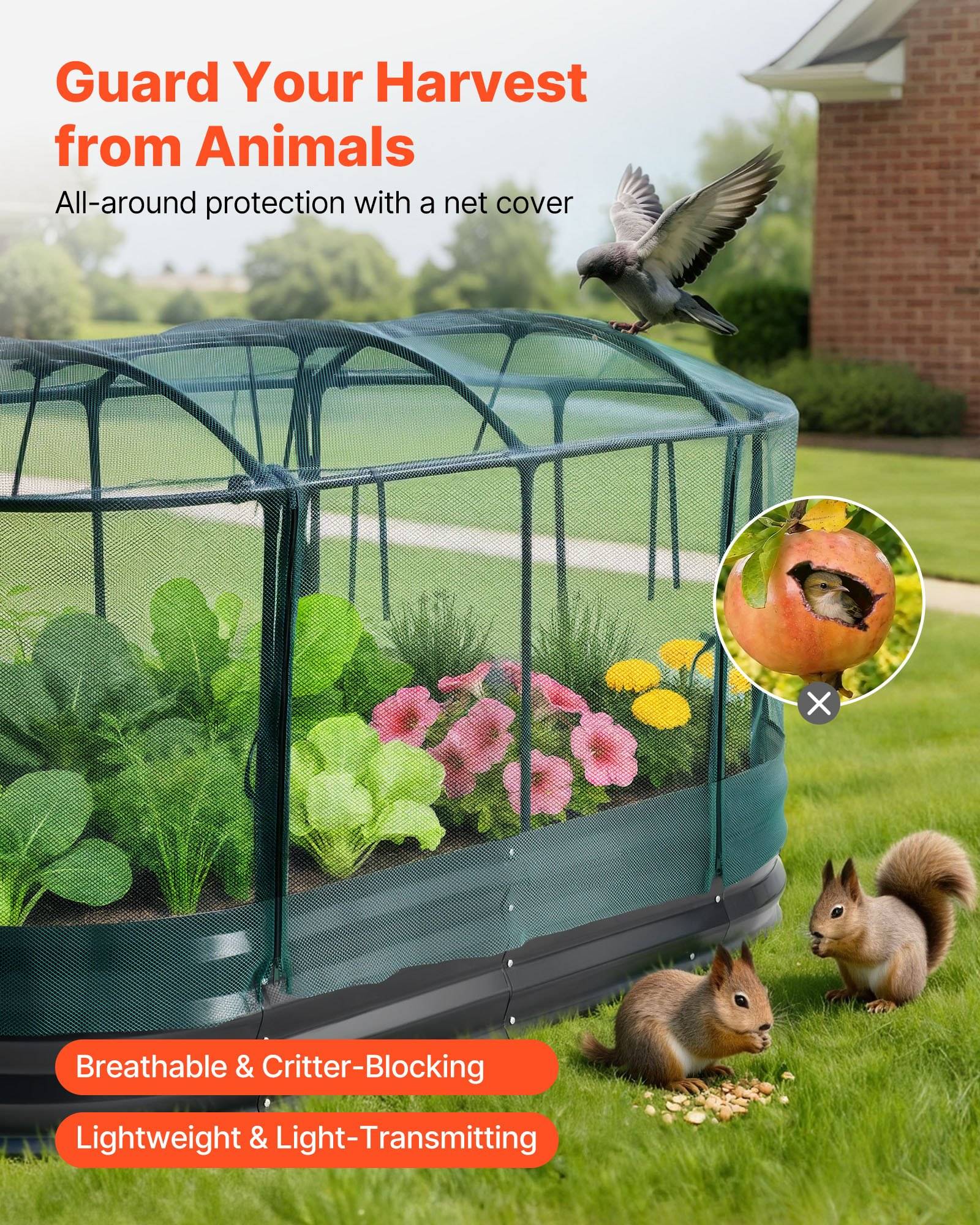 Gartenbeet mit Netzabdeckung schützt Gemüse und Blumen vor Vögeln und Eichhörnchen; der Text lautet „Schützen Sie Ihre Ernte vor Tieren" und „Rundum-Schutz mit einer Netzabdeckung"".