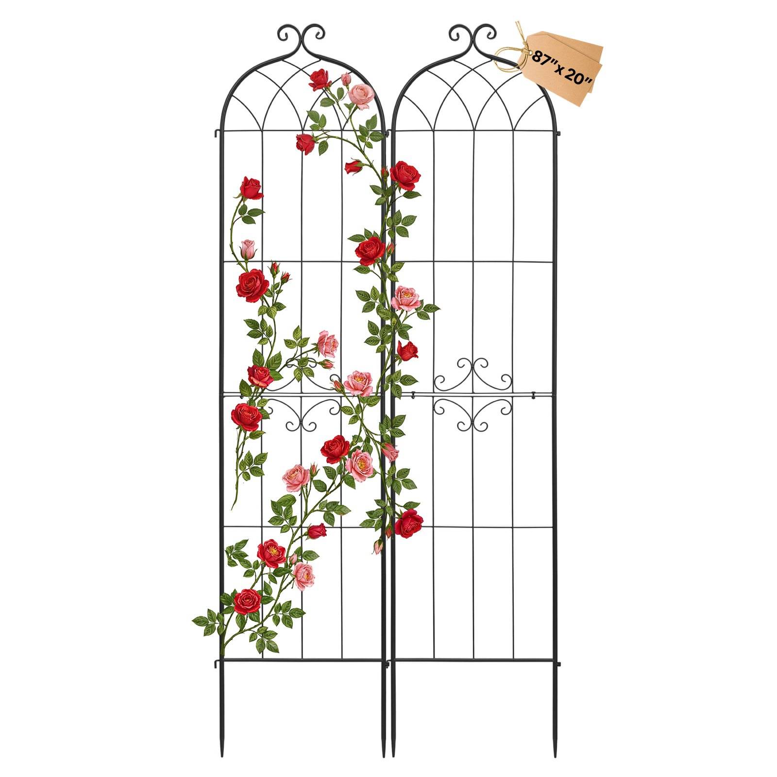 Schwarzes Metall-Spalier für Gärten mit zwei gewölbten Paneelen und kletternden roten und rosa Rosen, gekennzeichnet mit 87 x 20 Zoll.