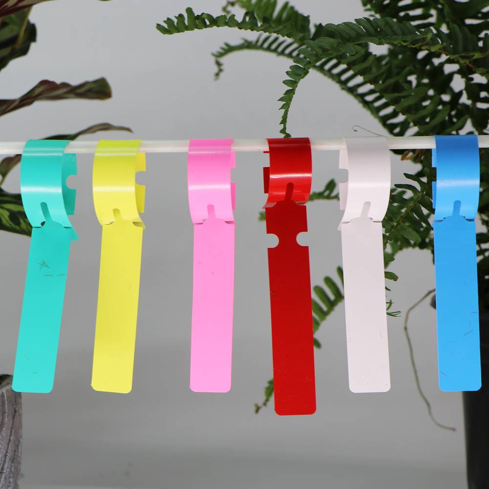 Bunte Papierschilder, die an einer Leine befestigt sind und in Türkis, Gelb, Rosa, Rot, Weiß und Blau vor einem grauen Hintergrund mit Pflanzenblättern hängen.