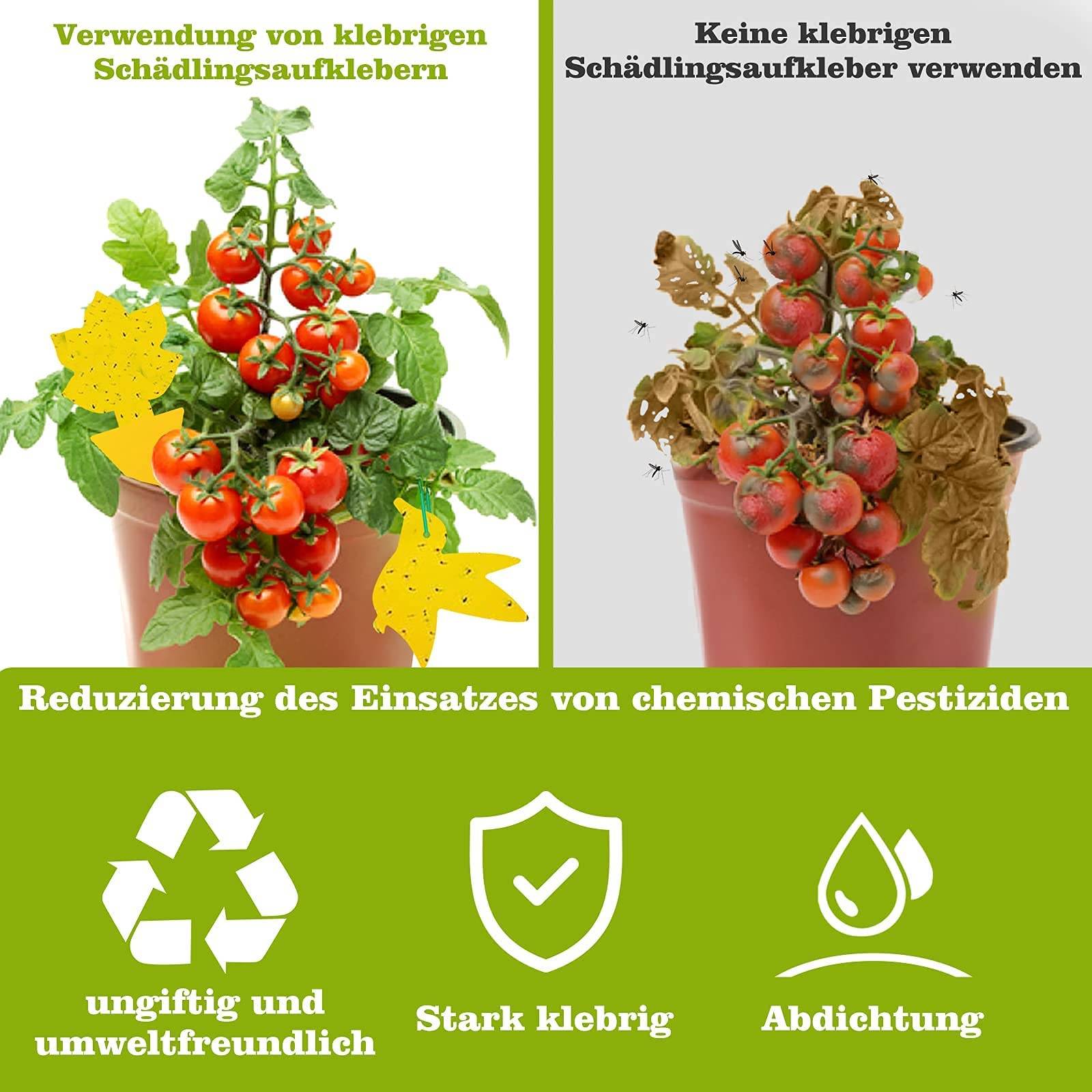 Vergleich von Tomatenpflanzen: Klebefallen für Schädlinge auf der linken Seite mit gesundem Obst, keine Klebefallen auf der rechten Seite mit beschädigten Blättern; Beschriftung sagt chemische Pestizide reduzieren.