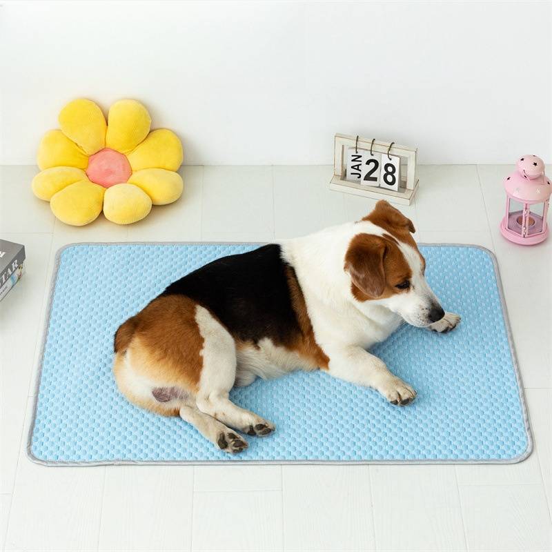 Beagle, der auf einer blauen Matte im Innenbereich liegt, mit einem Schreibtischkalender vom 28. Januar und dekorativen Kissen in der Nähe.