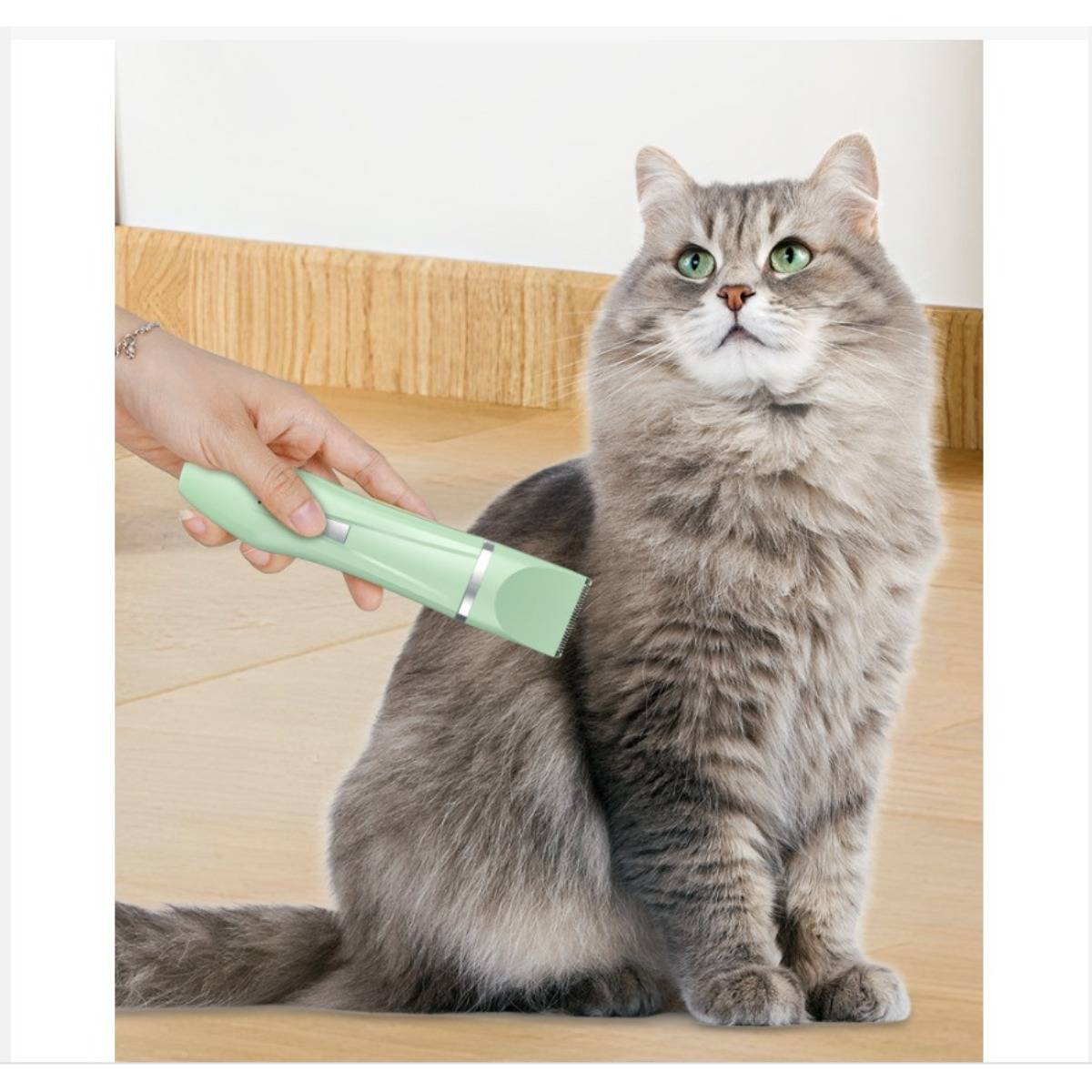 Eine Hand, die einen grünen Tierpfleger-Trimmer verwendet, um eine flauschige graue Katze zu pflegen, die auf einem Holzboden sitzt.