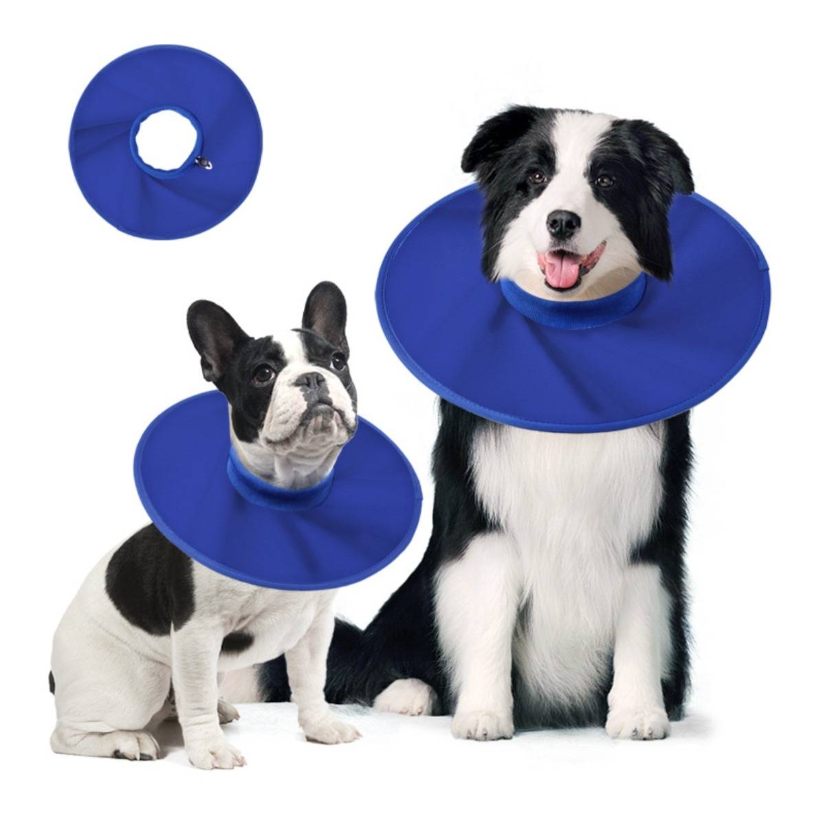 Zwei Hunde, die blaue Schutz- und Genesungskegel tragen, sitzen vor einem weißen Hintergrund, wobei ein Kegel separat oben links gezeigt wird.