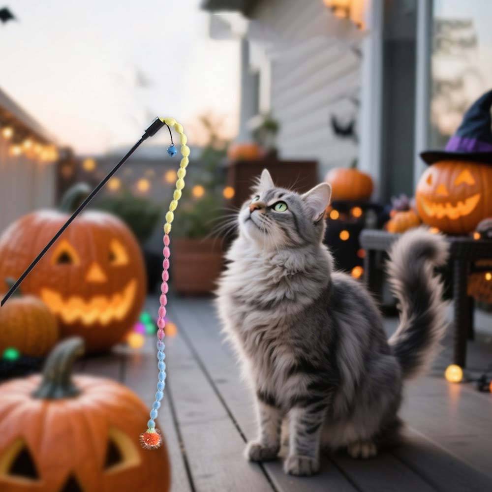 Graue langhaarige Katze beobachtet ein baumelndes Pastellspielzeug auf einer Veranda, die mit geschnitzten Halloween-Kürbissen und Lichtern dekoriert ist.