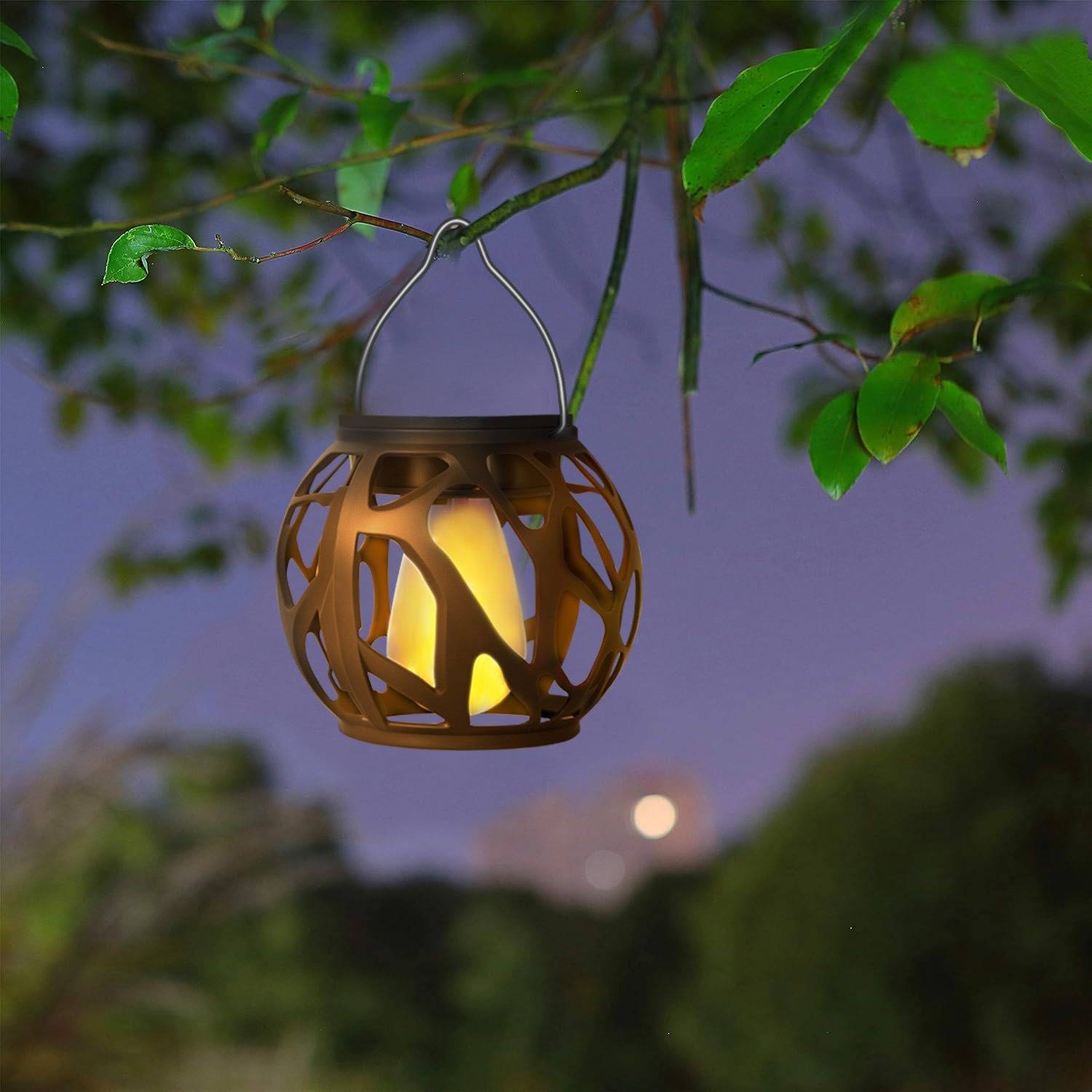 Leuchtende Laterne, die bei Einbruch der Dunkelheit von einem Baumast hängt, mit grünen Blättern, die einen unscharfen Außenhintergrund umrahmen.