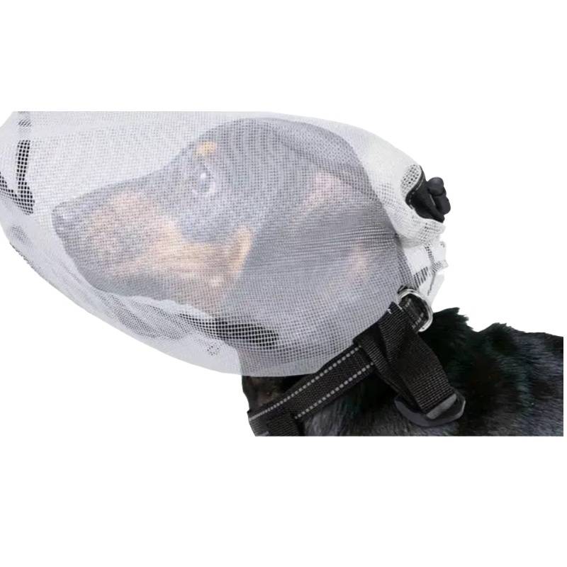 Hund mit einem weißen Mesh-Maulkorb oder einer Kopfbedeckung, der mit schwarzen Riemen über Schnauze und Gesicht befestigt ist.