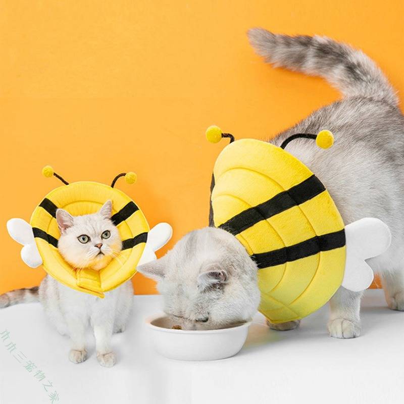 Zwei Katzen in Bienenkostümen auf orangefarbenem Hintergrund, eine steht, während die andere aus einer weißen Schüssel frisst.