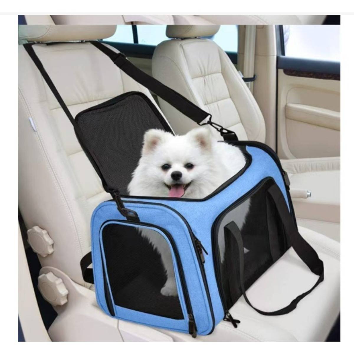 Kleiner weißer Hund in einer blauen Mesh-Tierbox, die auf einem Autositz befestigt ist, sitzt sicher im Inneren eines Fahrzeugs.