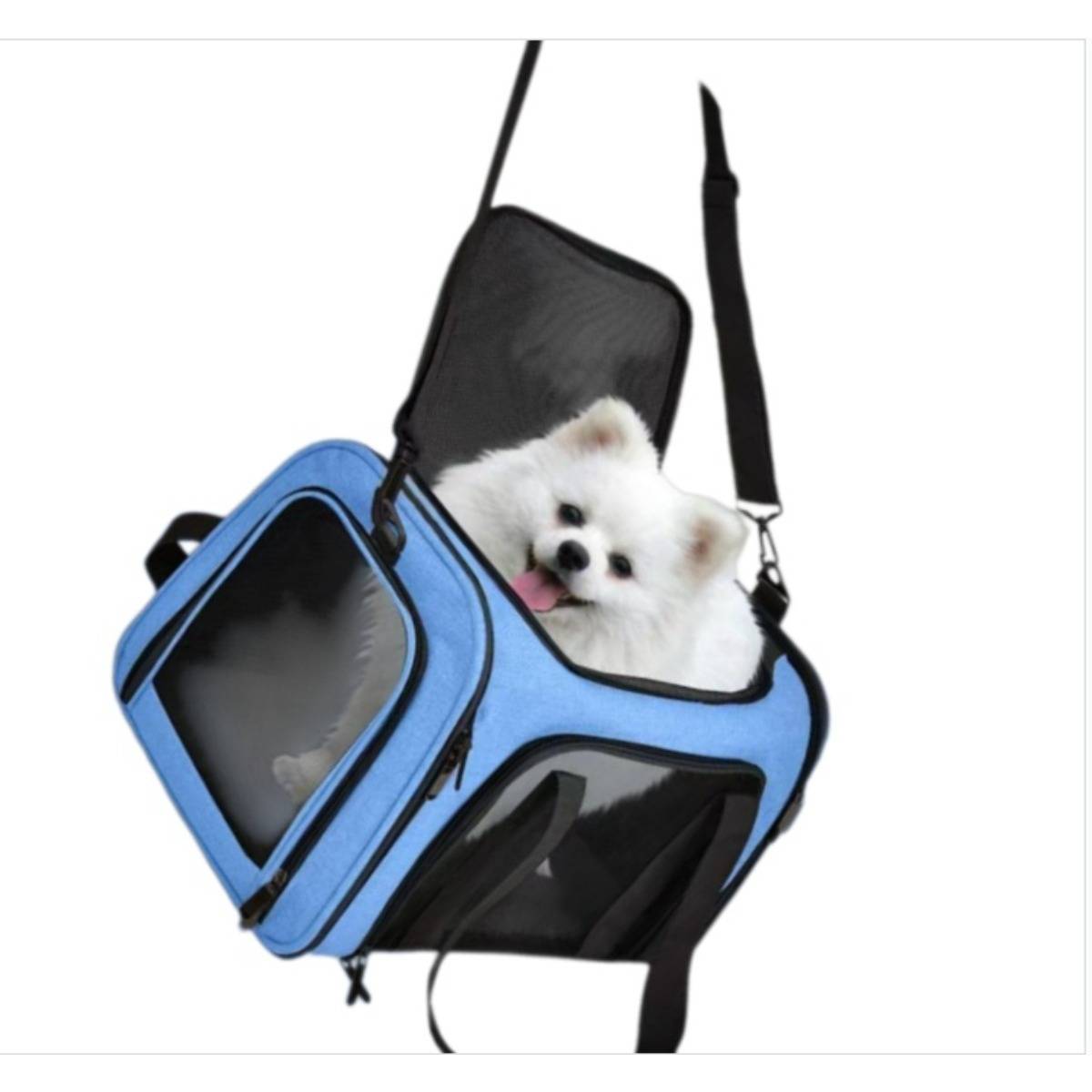Weißer fluffiger Welpe schaut aus einer blauen Netz-Transporttasche für Haustiere mit Riemen auf weißem Hintergrund heraus.