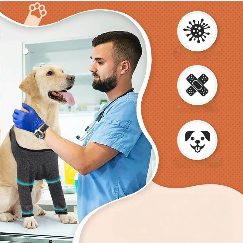 Tierarzt in blauem Operationsanzug untersucht einen Hund in einer Klinik; Symbole deuten auf Tiergesundheit, Erste Hilfe und tierärztliche Versorgung hin.