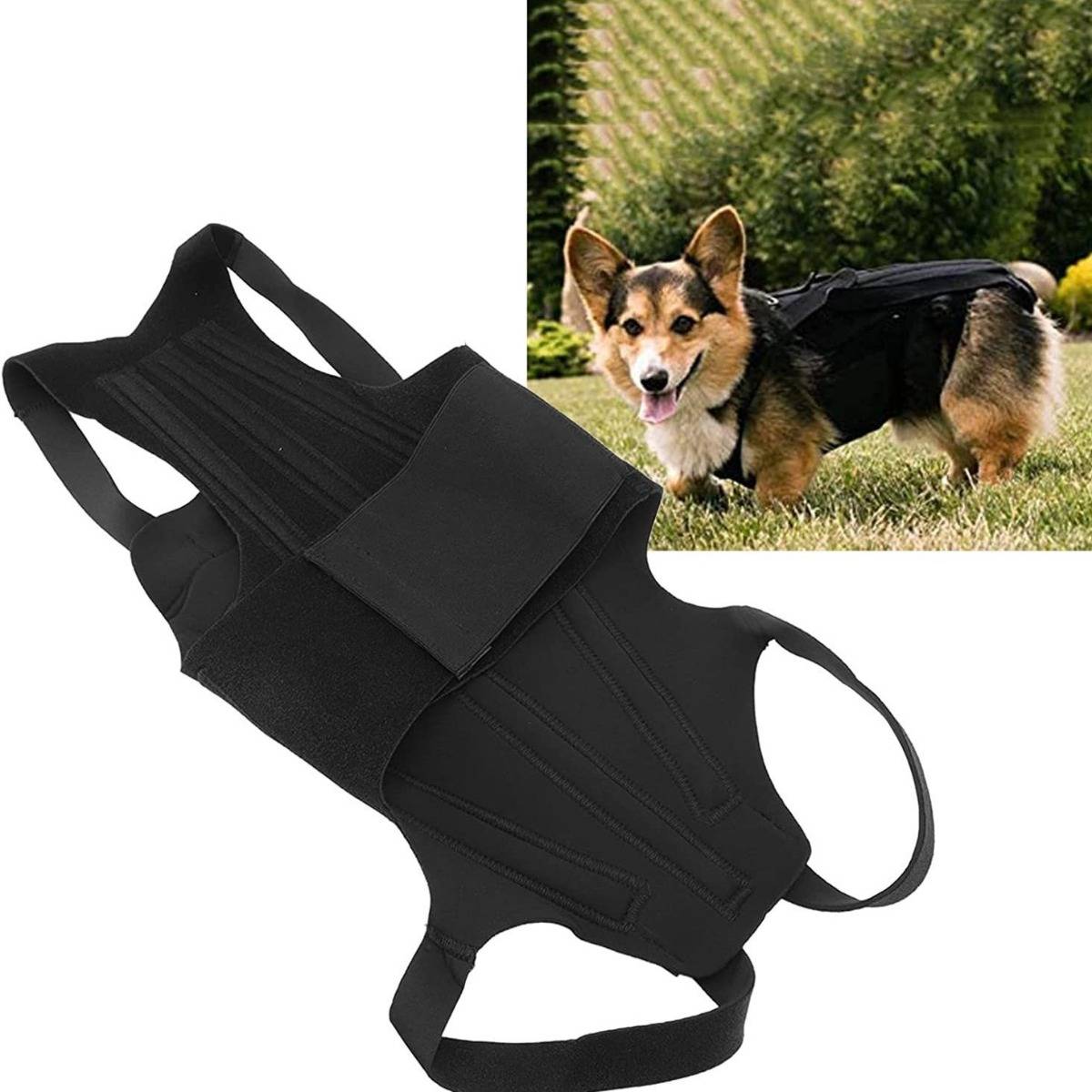 Schwarze Hundeunterstützungsweste mit Griffen, gezeigt mit einem Corgi, der sie draußen zur Unterstützung beim Heben oder zur Mobilitätshilfe trägt.