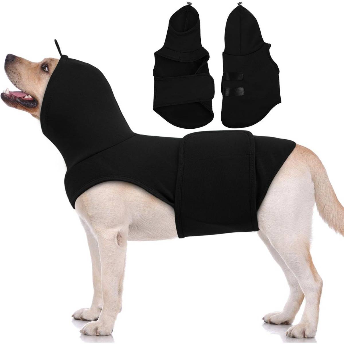 Hund, der einen schwarzen, ganzkörperigen Schutzanzug trägt; zwei Ansichten des Anzugs oben dargestellt.