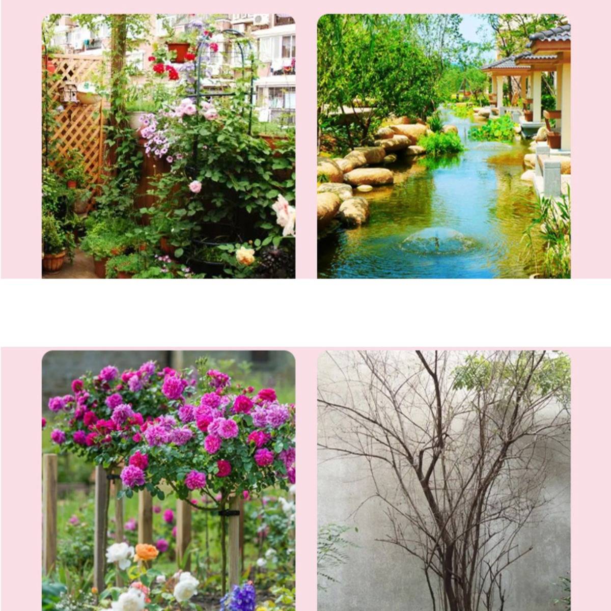 Collage aus vier Gartenszenen: blühende Rankhilfen, ein gestalteter Teich, eine rosenbedeckte Laube und ein kahler Baum an einer Mauer.