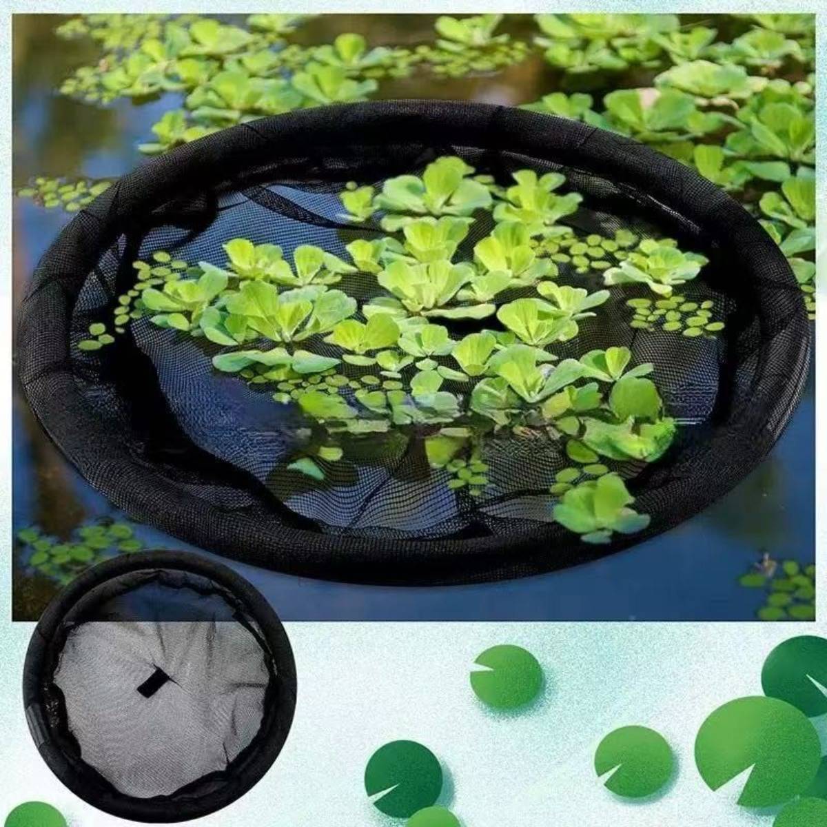 Schwarzes Maschenteichnetz, das auf dem Wasser zwischen grünem Entenflöckchen schwebt, mit einer kleineren Einführung, die das auf einer weißen Oberfläche geleerte Netz und ein schwebendes Blattausschnitt-Stück zeigt.