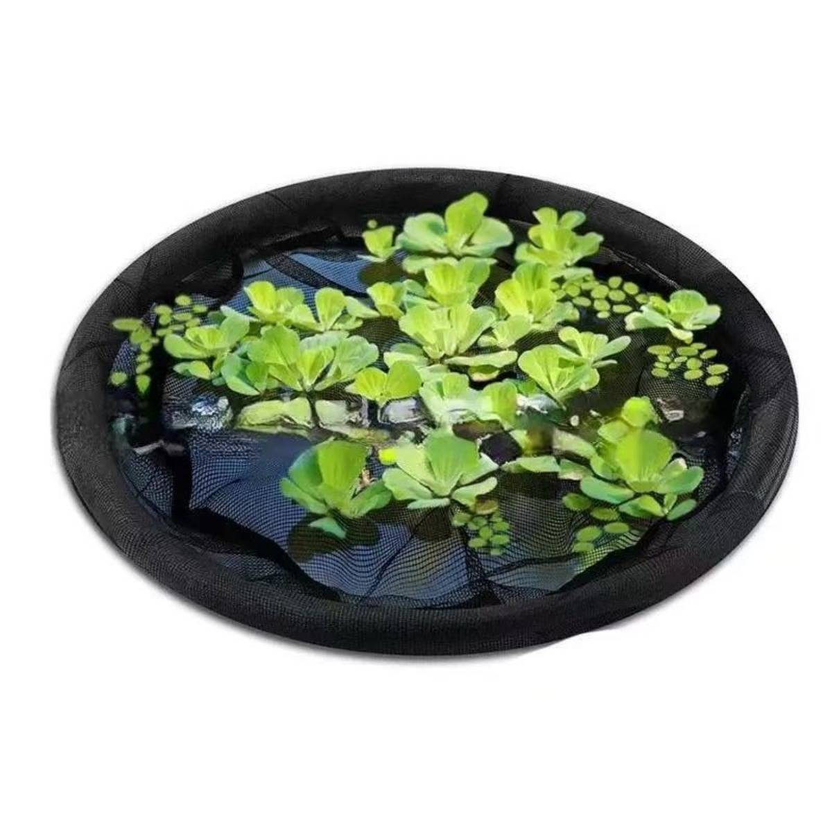 Schwarzer Netz-Schwimmkorb mit mehreren kleinen grünen Wasserpflanzen auf dem Wasser