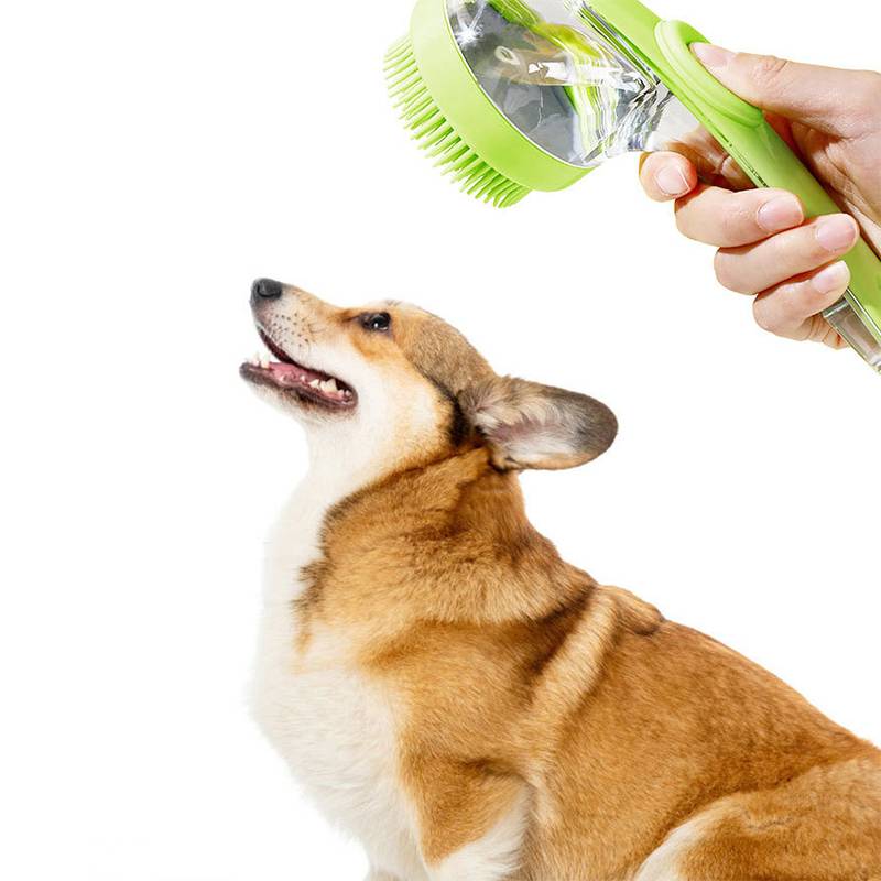 Tragbarer Haustierbürste mit Wasserspritze, die einen Corgi pflegt, wobei der Hund auf weißem Hintergrund nach oben schaut.