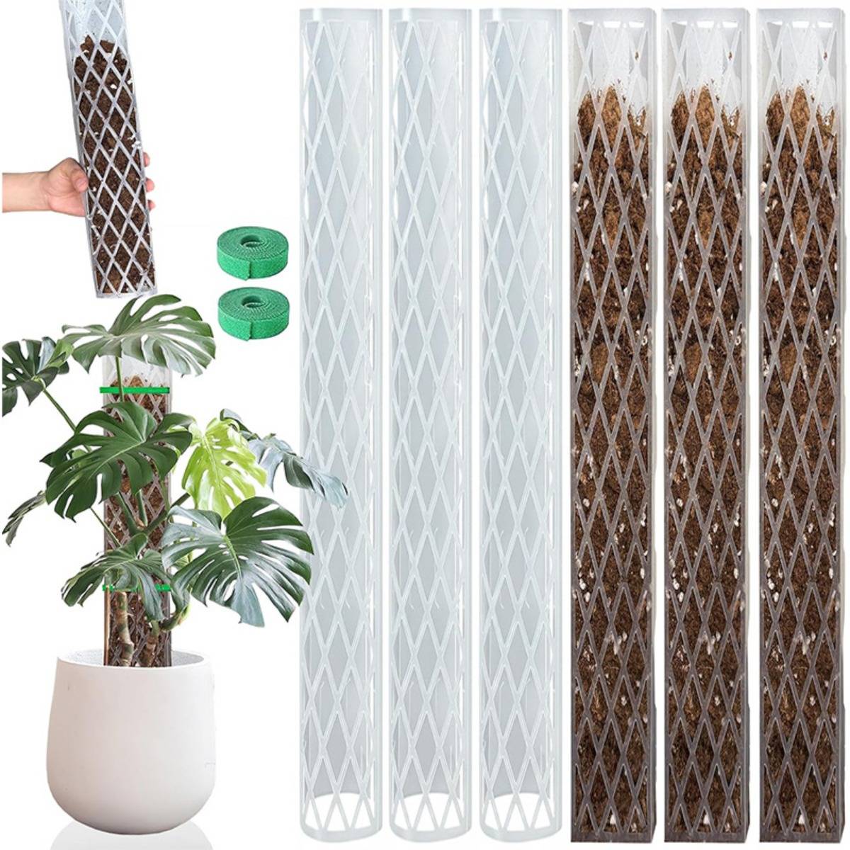 Bilder von ausziehbaren Gitterpflanzenstützstäben und grünen Bindungen neben einem Topf mit Monstera, die zeigen, wie man Kletterpflanzen trainiert und stützt.